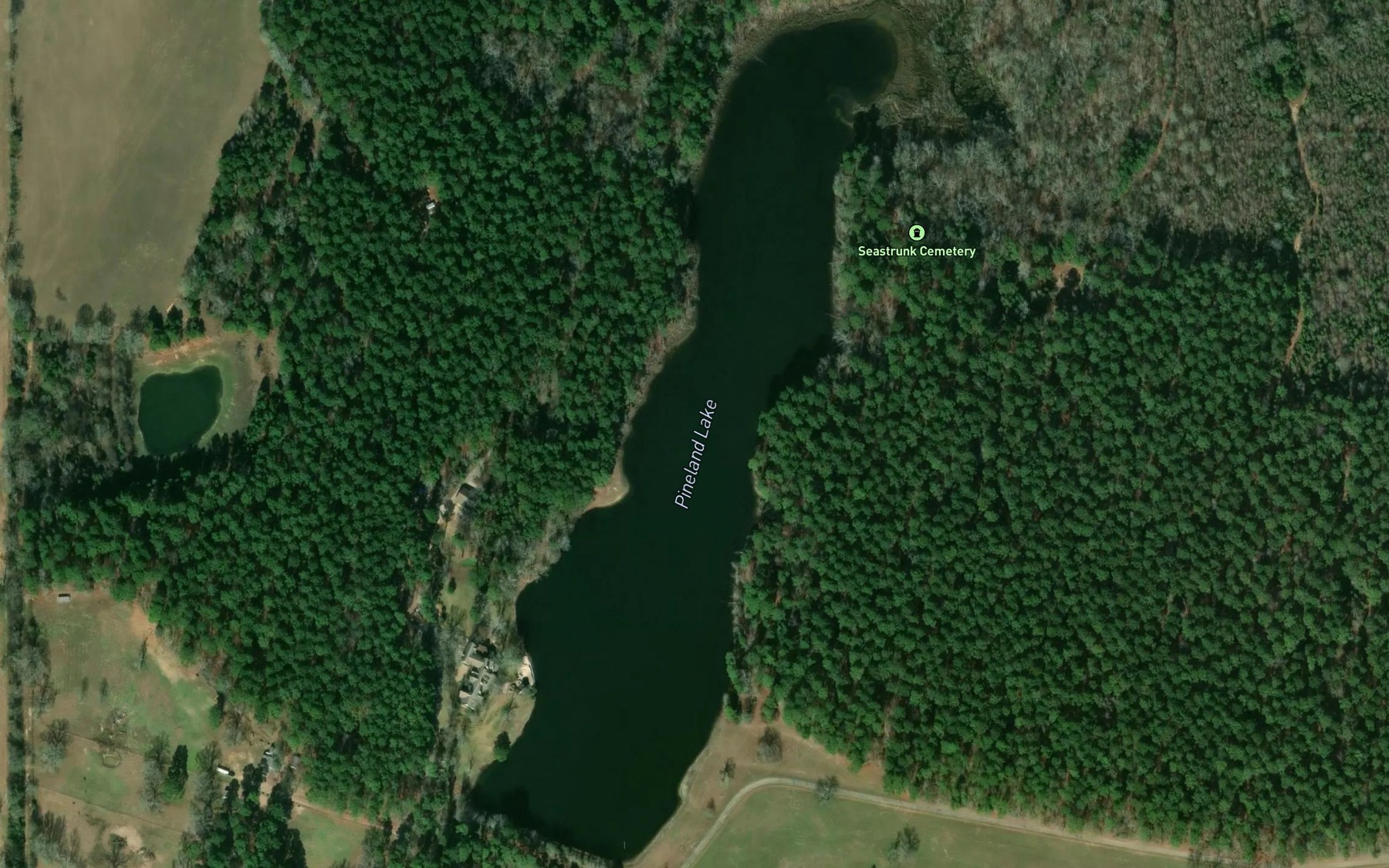 Satellite map of the Pineland Lake