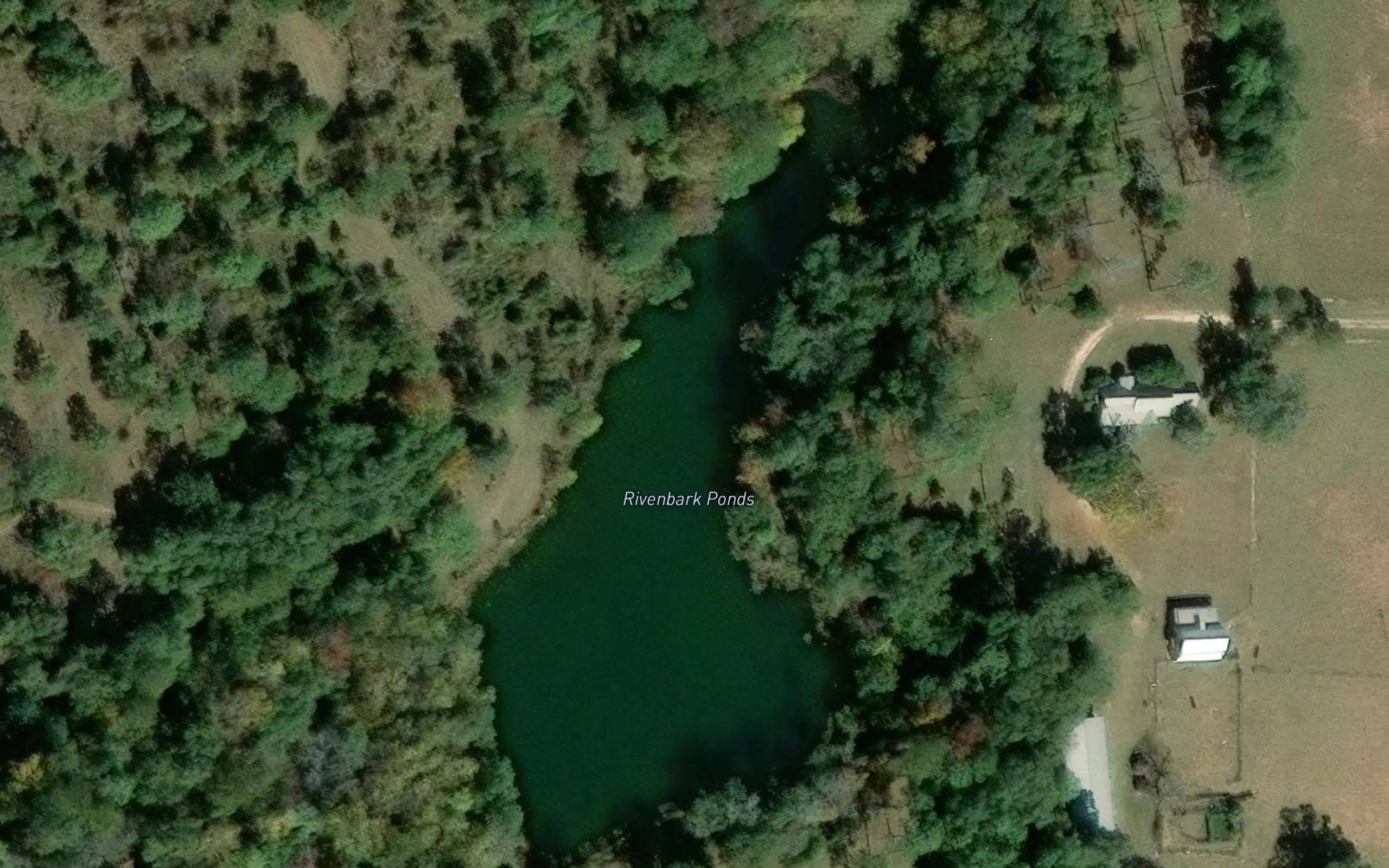 Rivenbark Ponds