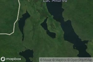 Lac Mink