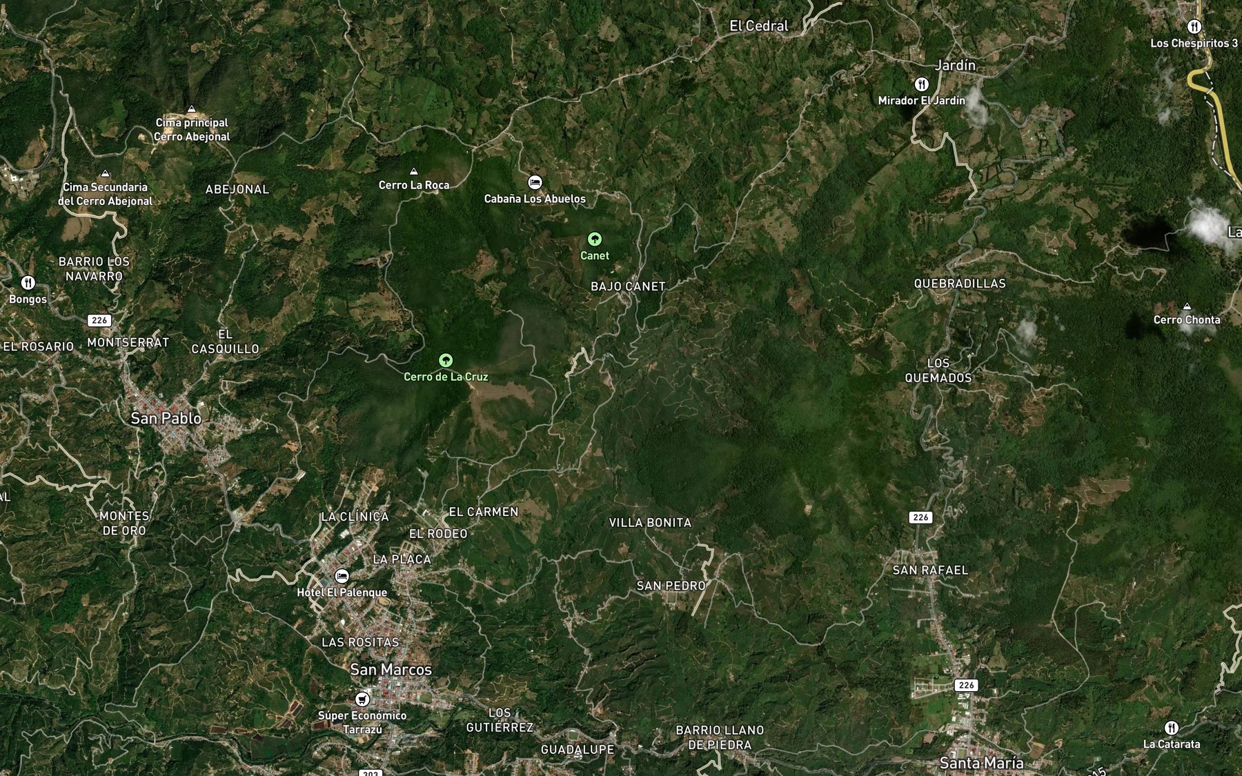 Satellite map of the Rio Martinez