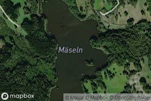 Maeseln