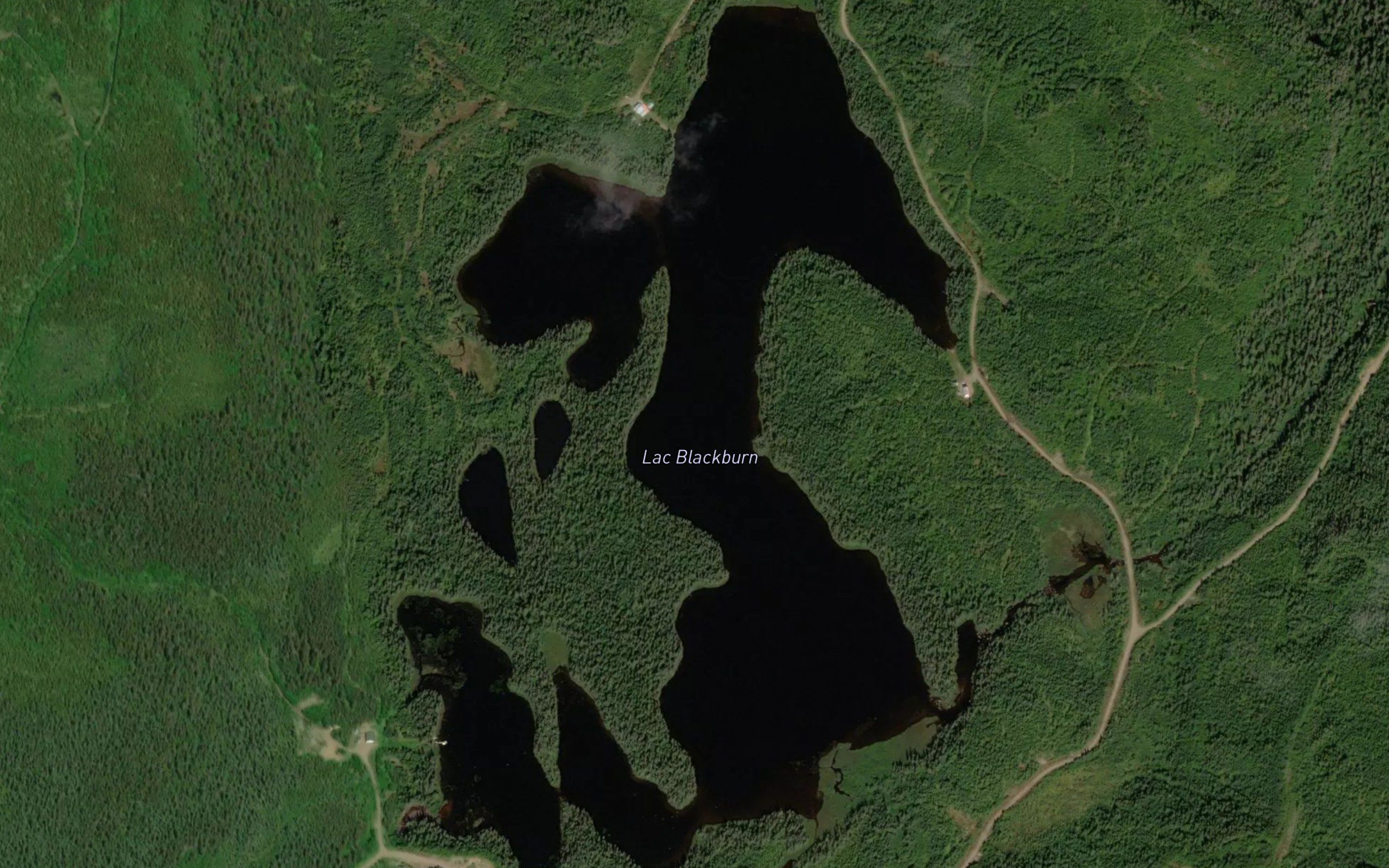 Lac Blackburn