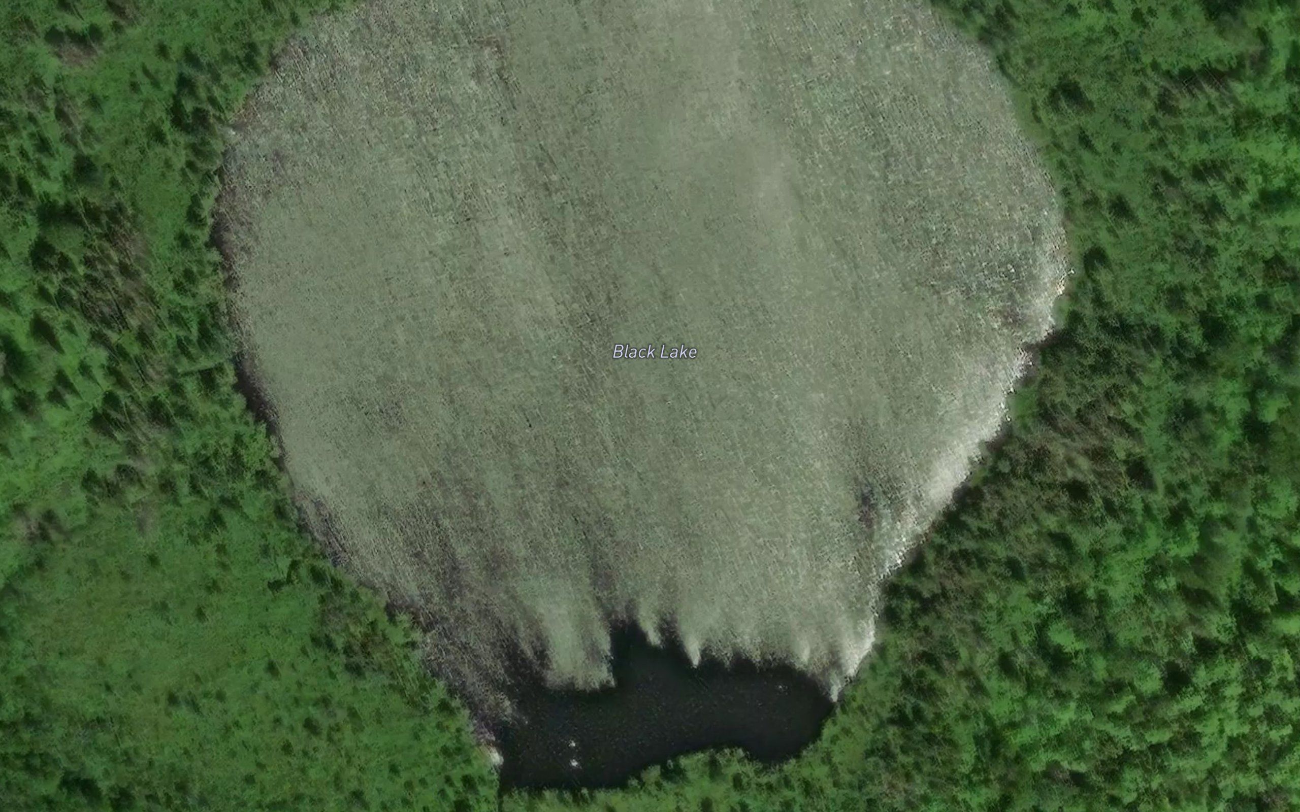 Black Lake