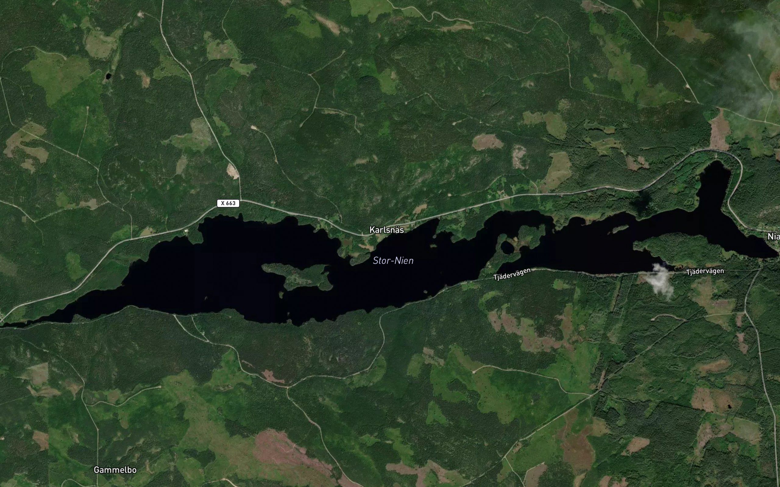 Stor-Nien