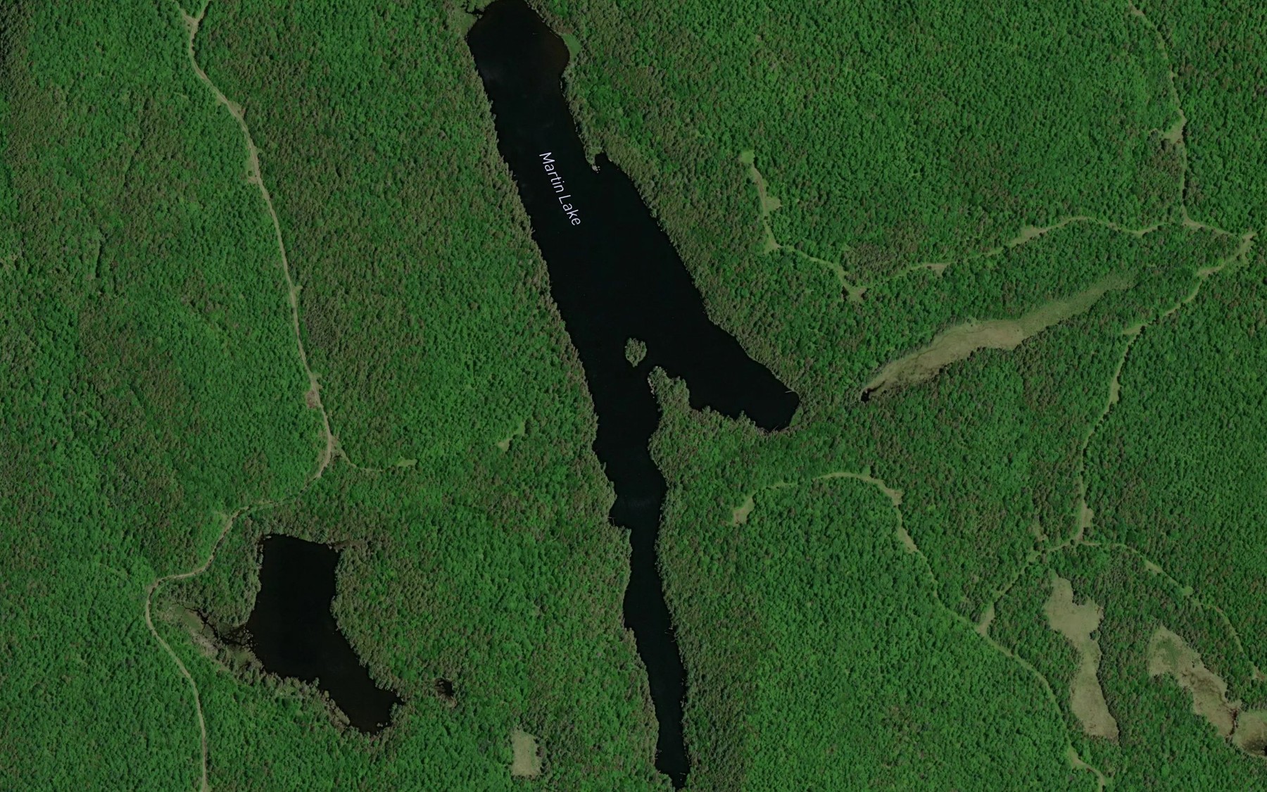 Satellite map of the Martin Lake