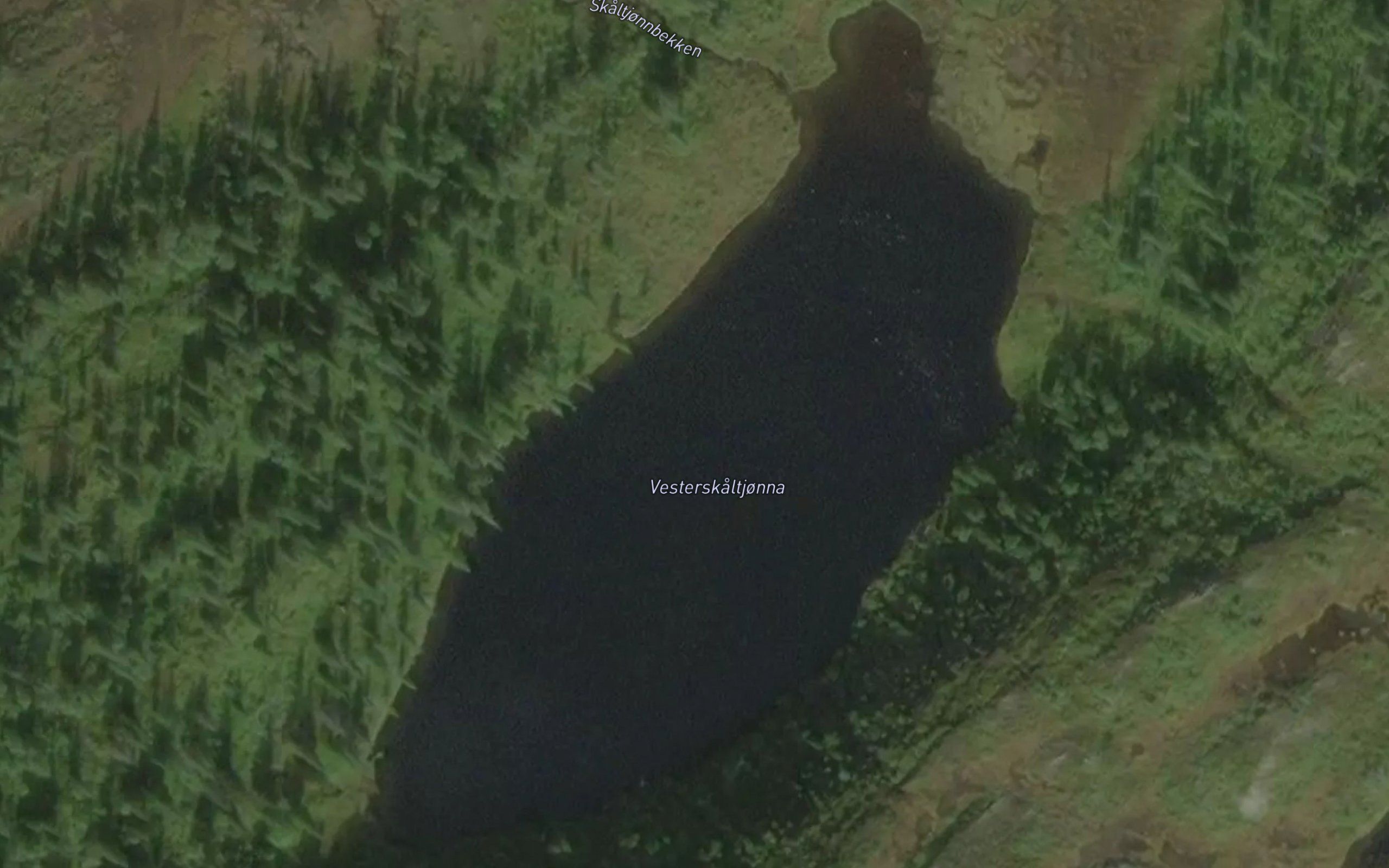 Skaltjorna,vestre