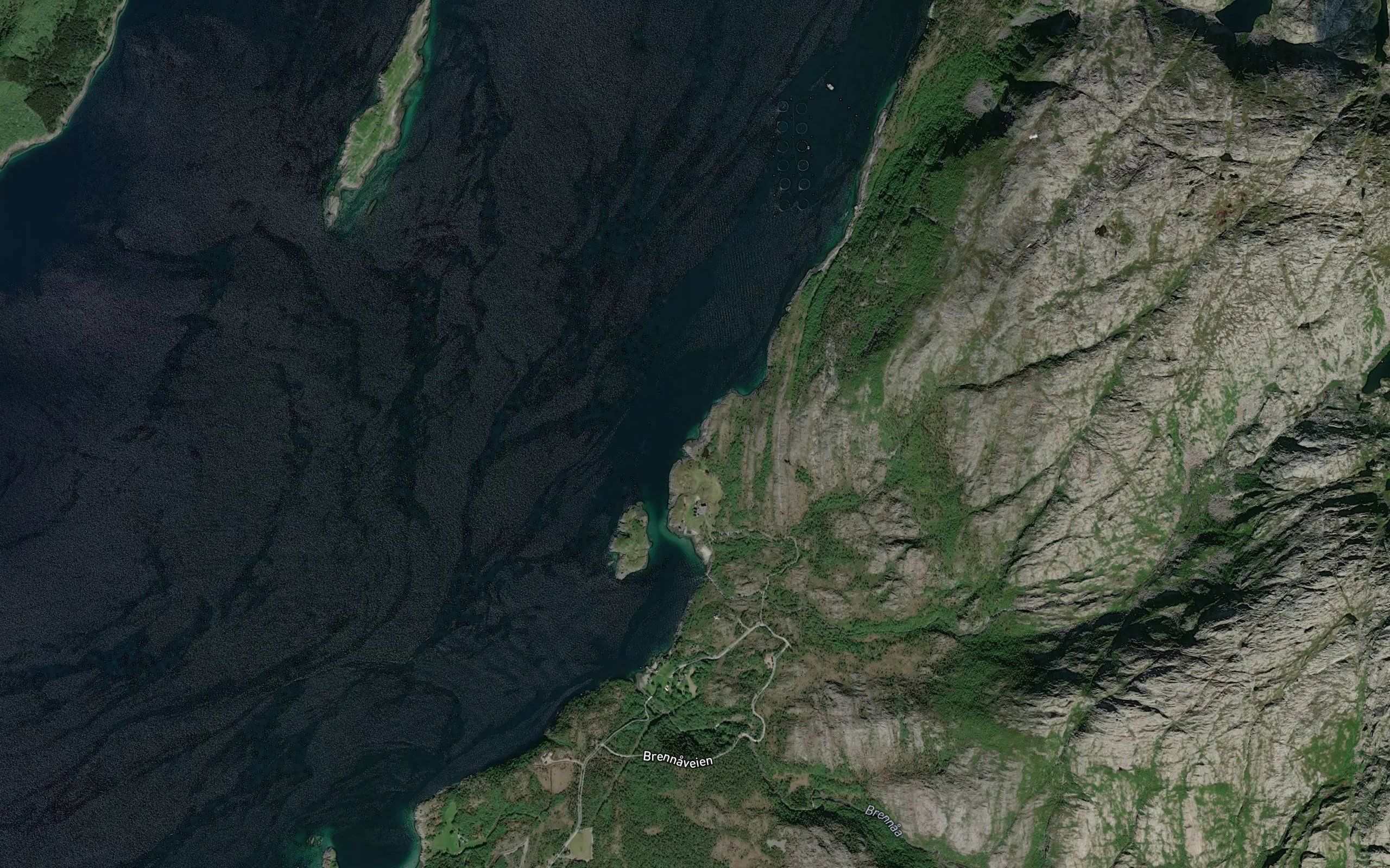 Tjonnvikja