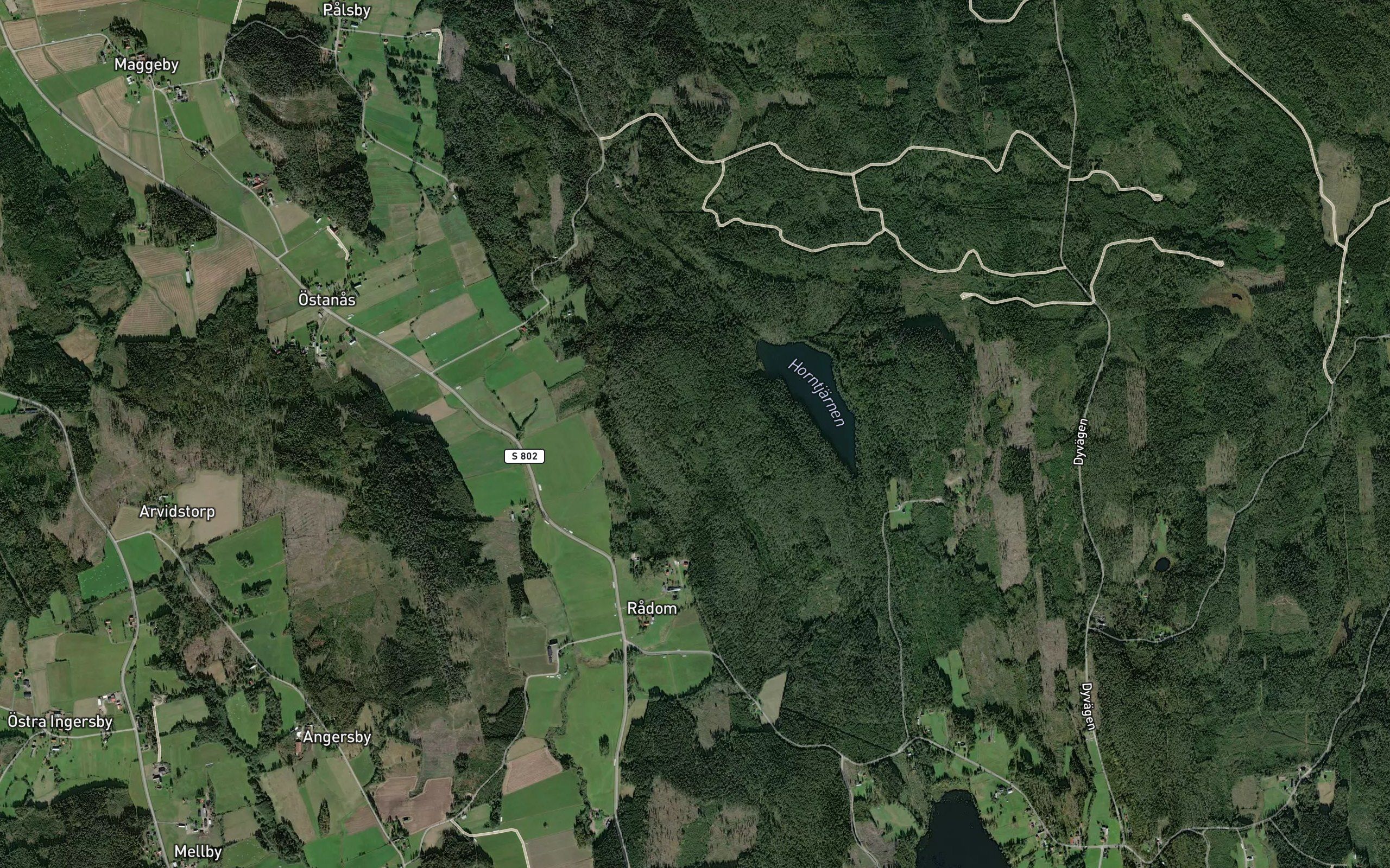 Horntjarn