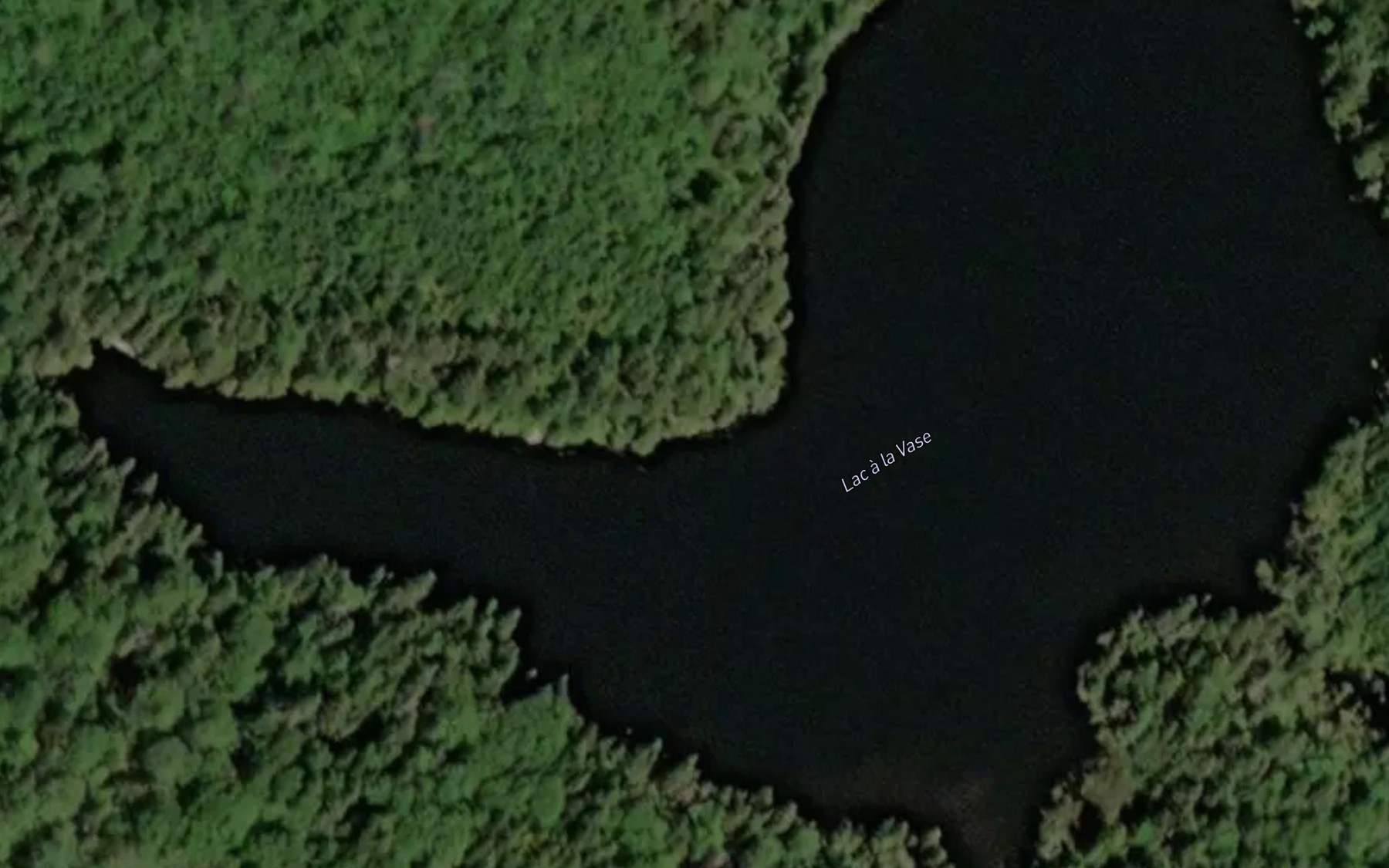 Satellite map of the Lac a la Vase
