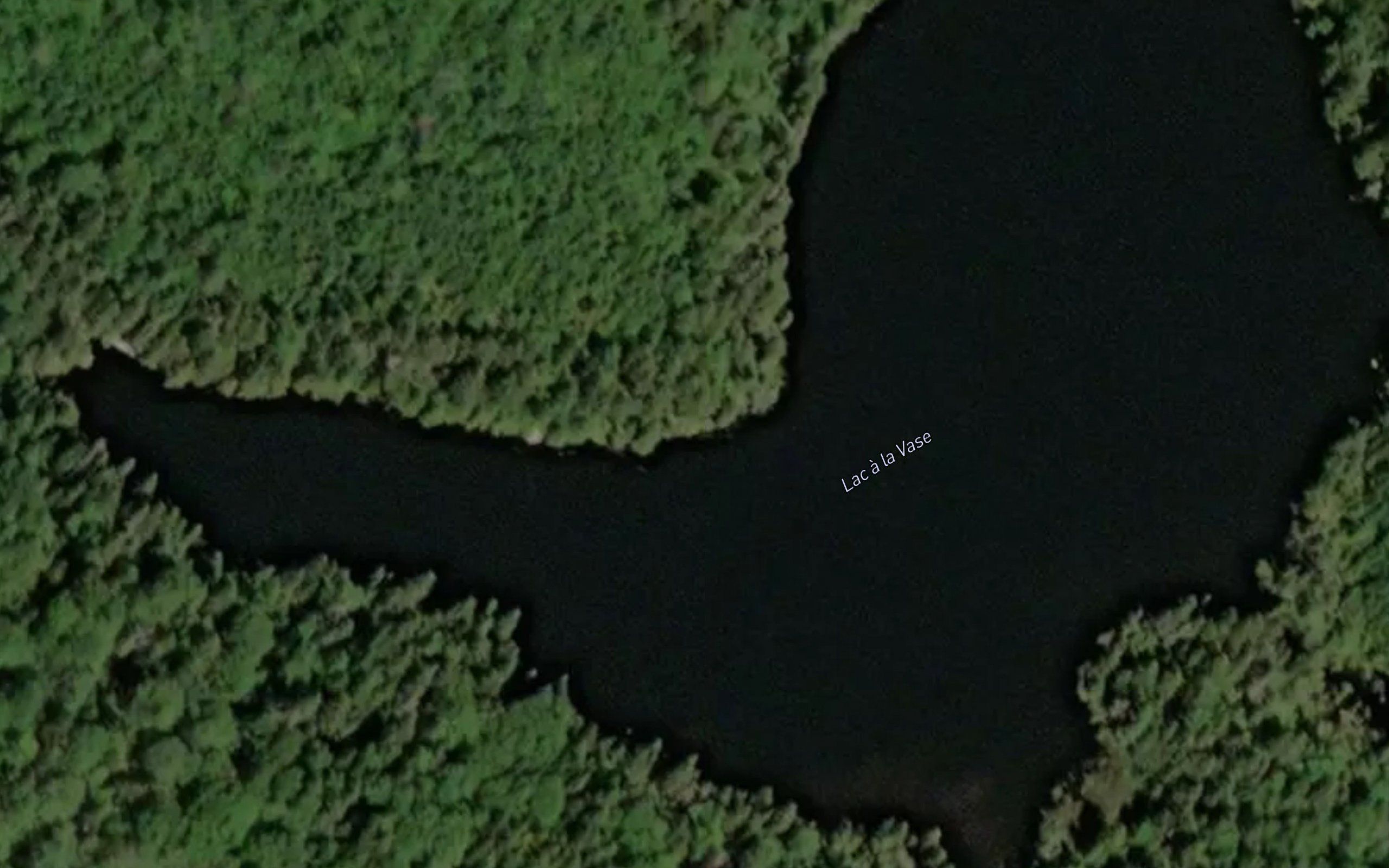 Lac a la Vase