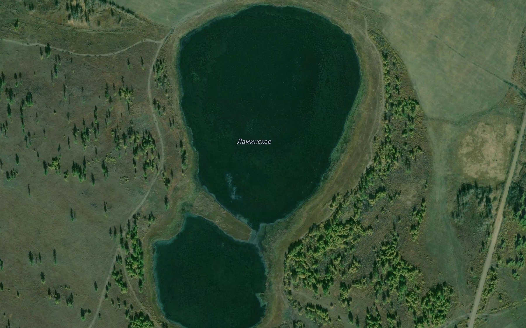 Satellite map of the Ozero Laminskoye