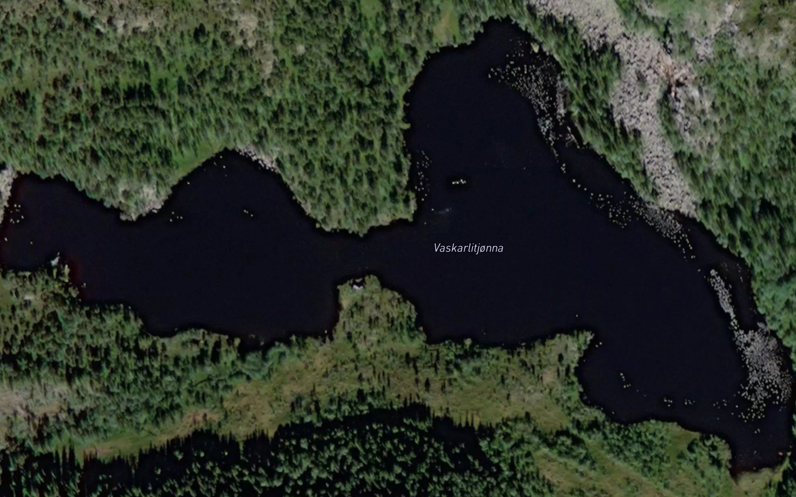 Vaskarlitjorna
