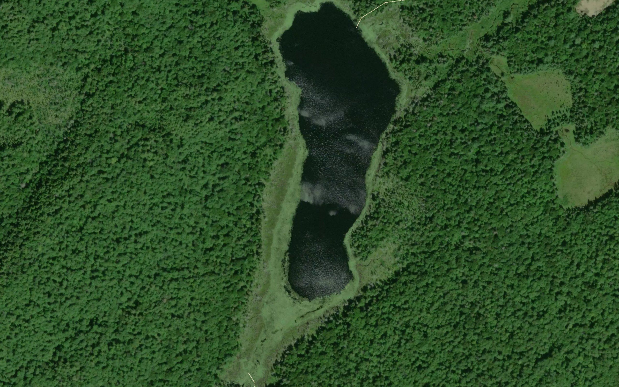 Mikado Lake
