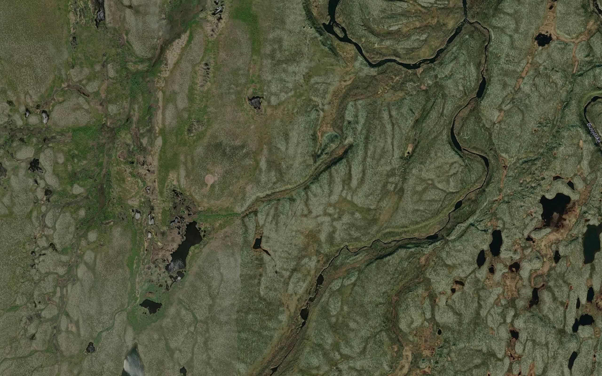 Buoidatjakka