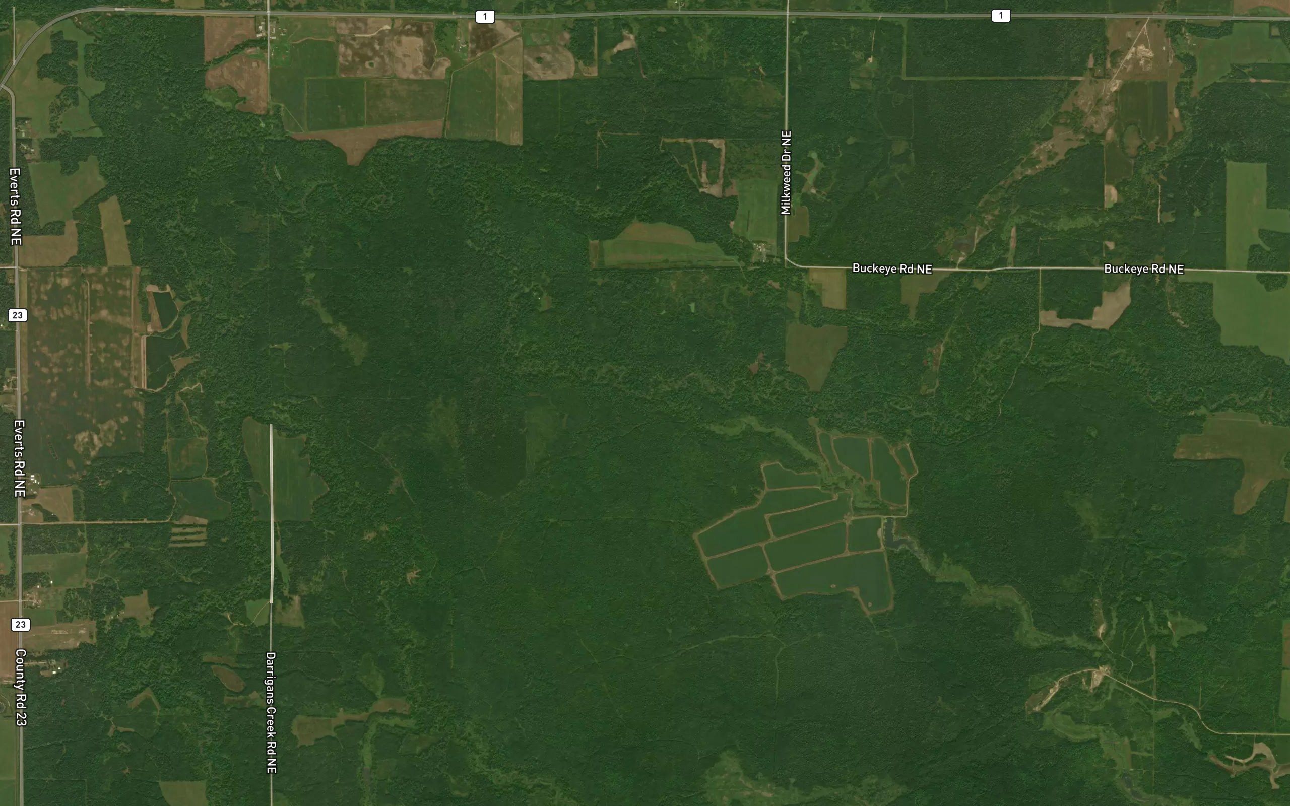 Detling Creek