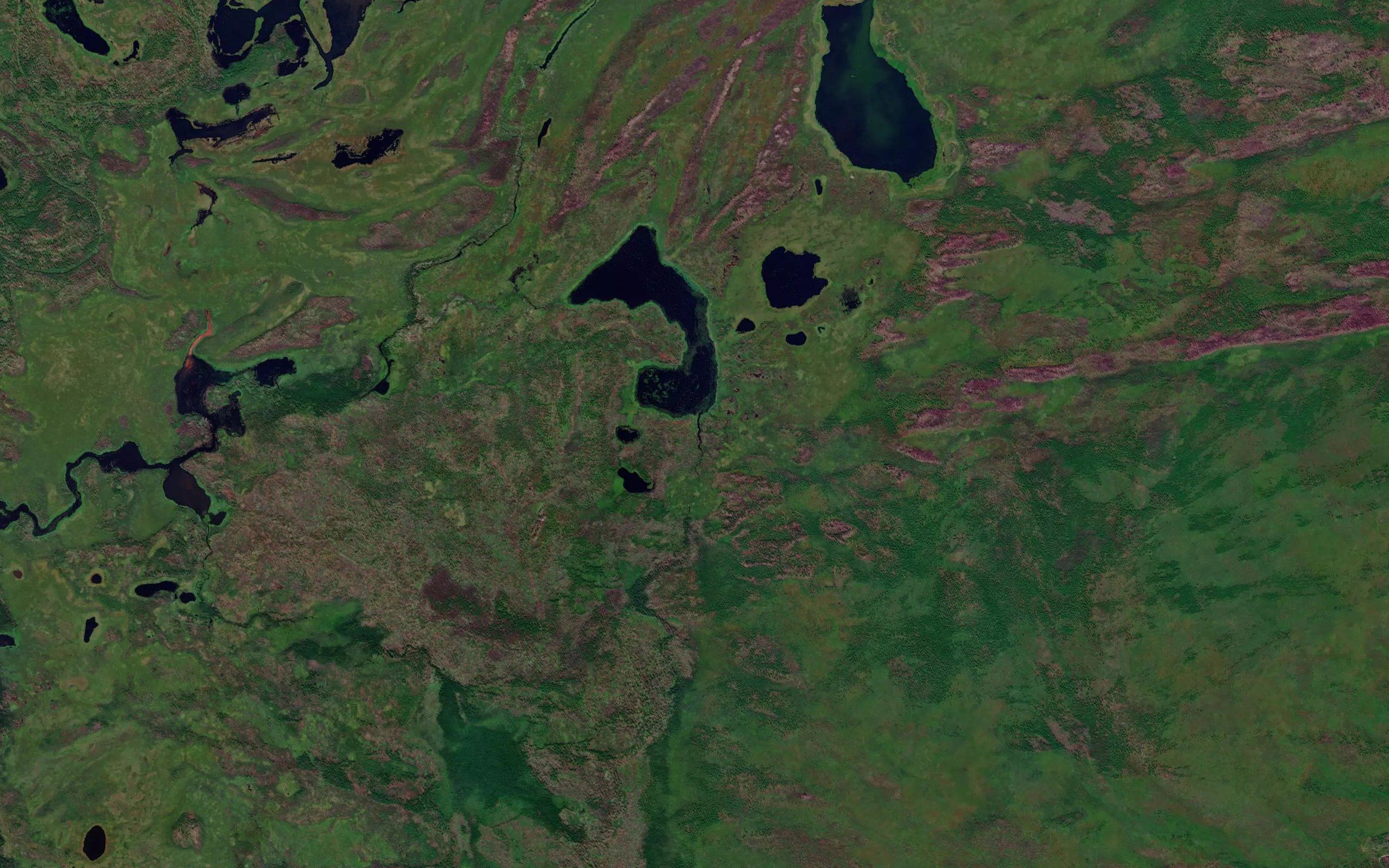 Tukolali