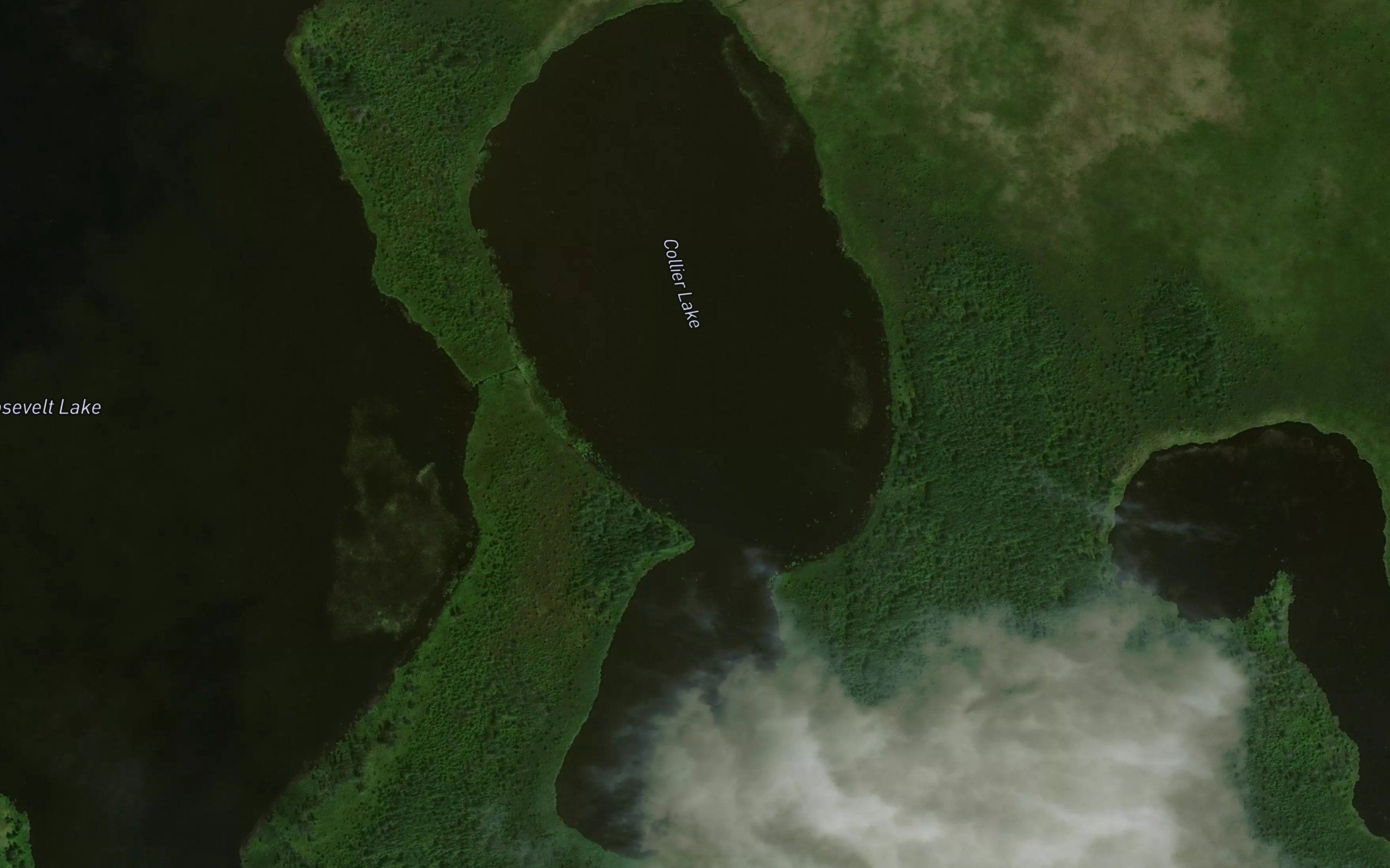 Collier Lake
