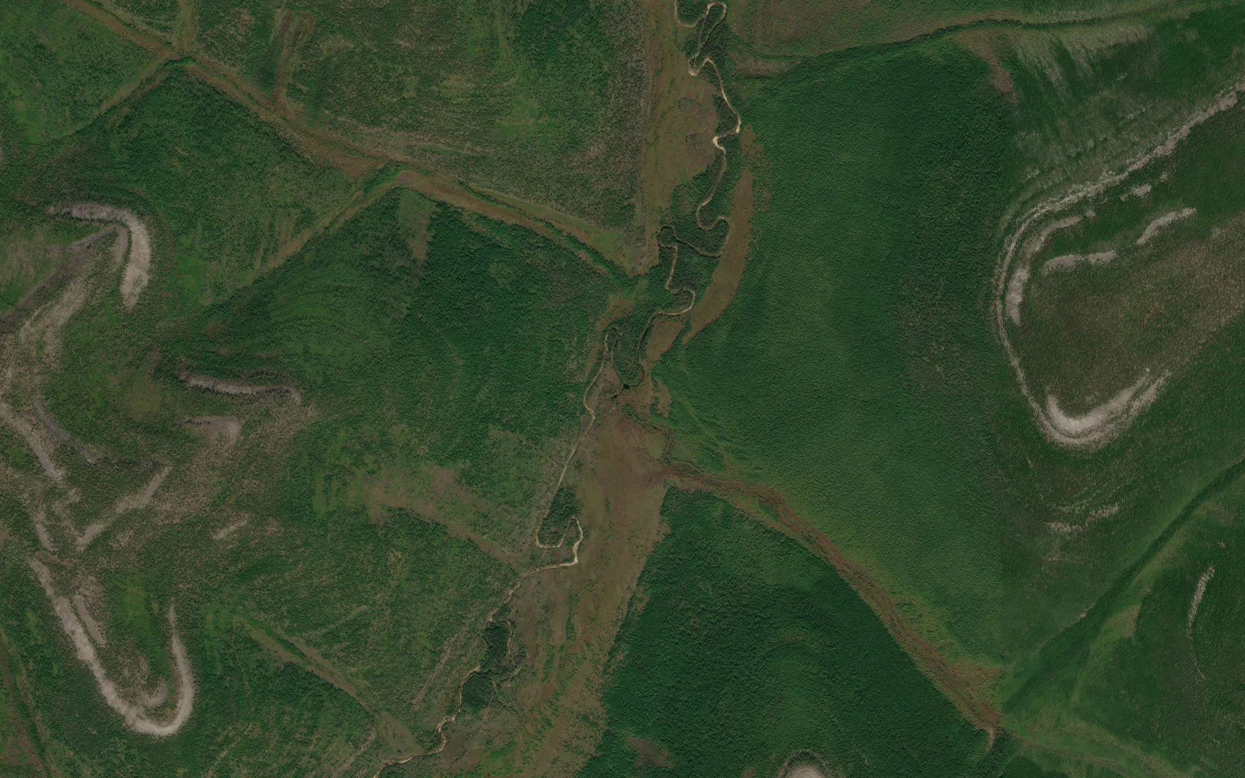 Ryabchik