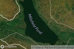 Millsfield Pond