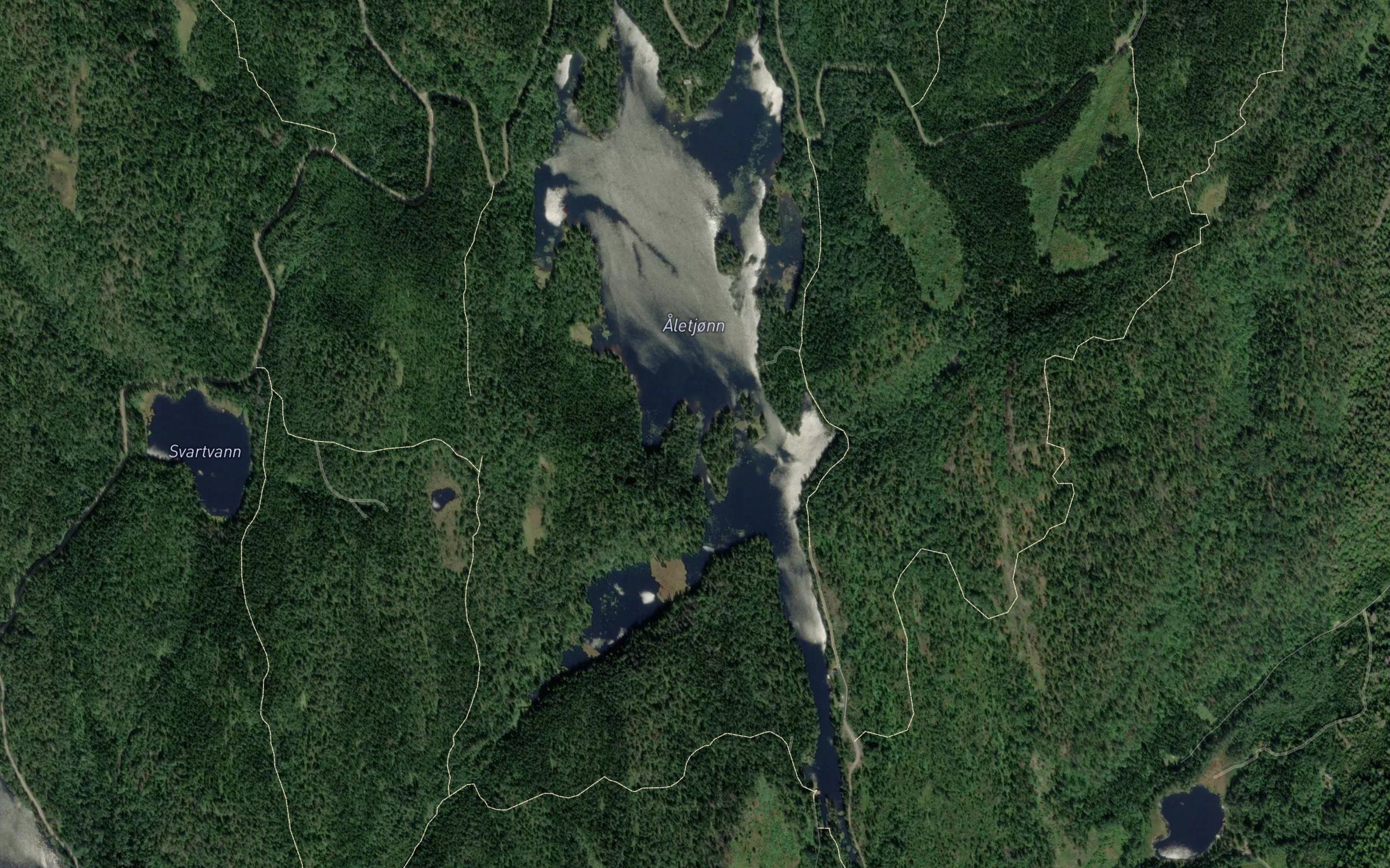 Aletjorn