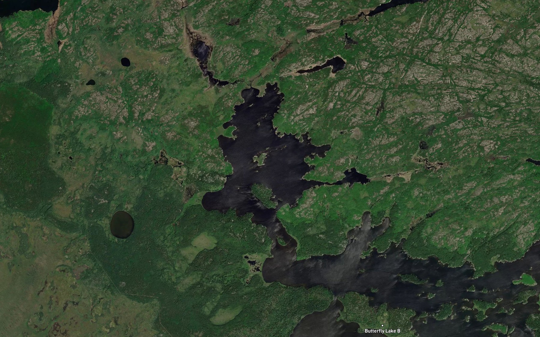 Satellite map of the McGill Bay