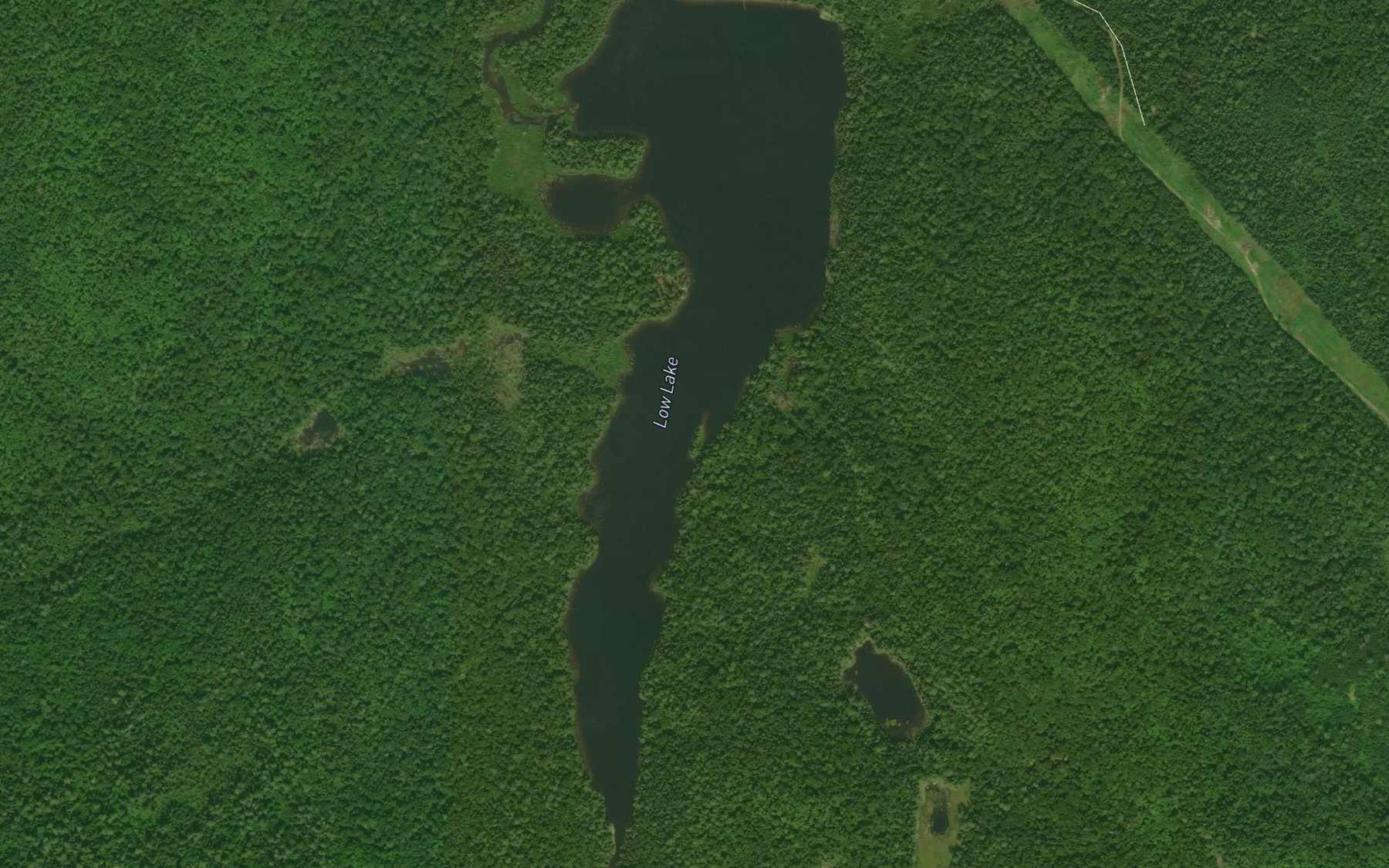 Satellite map of the Low Lake