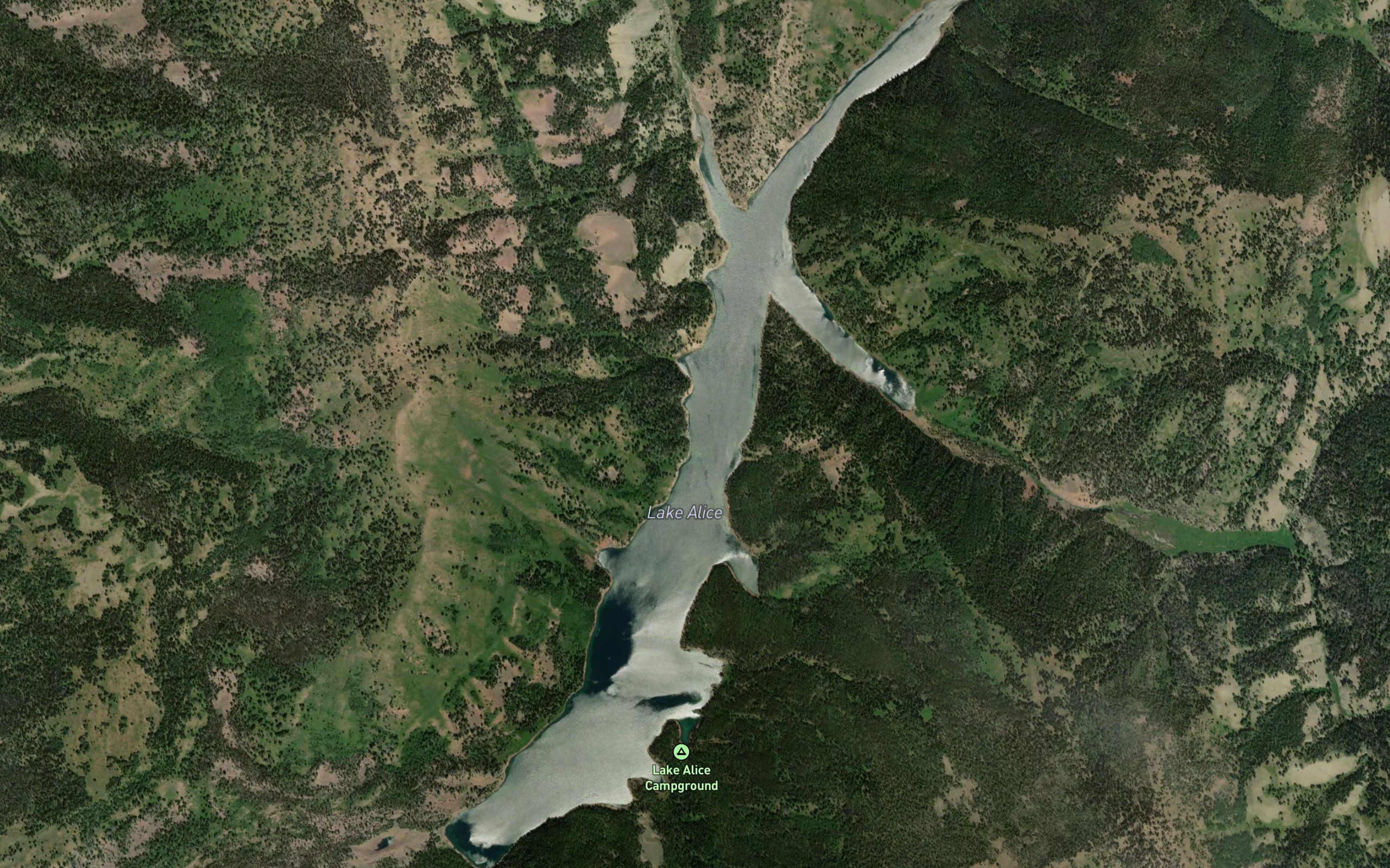 Lake Alice