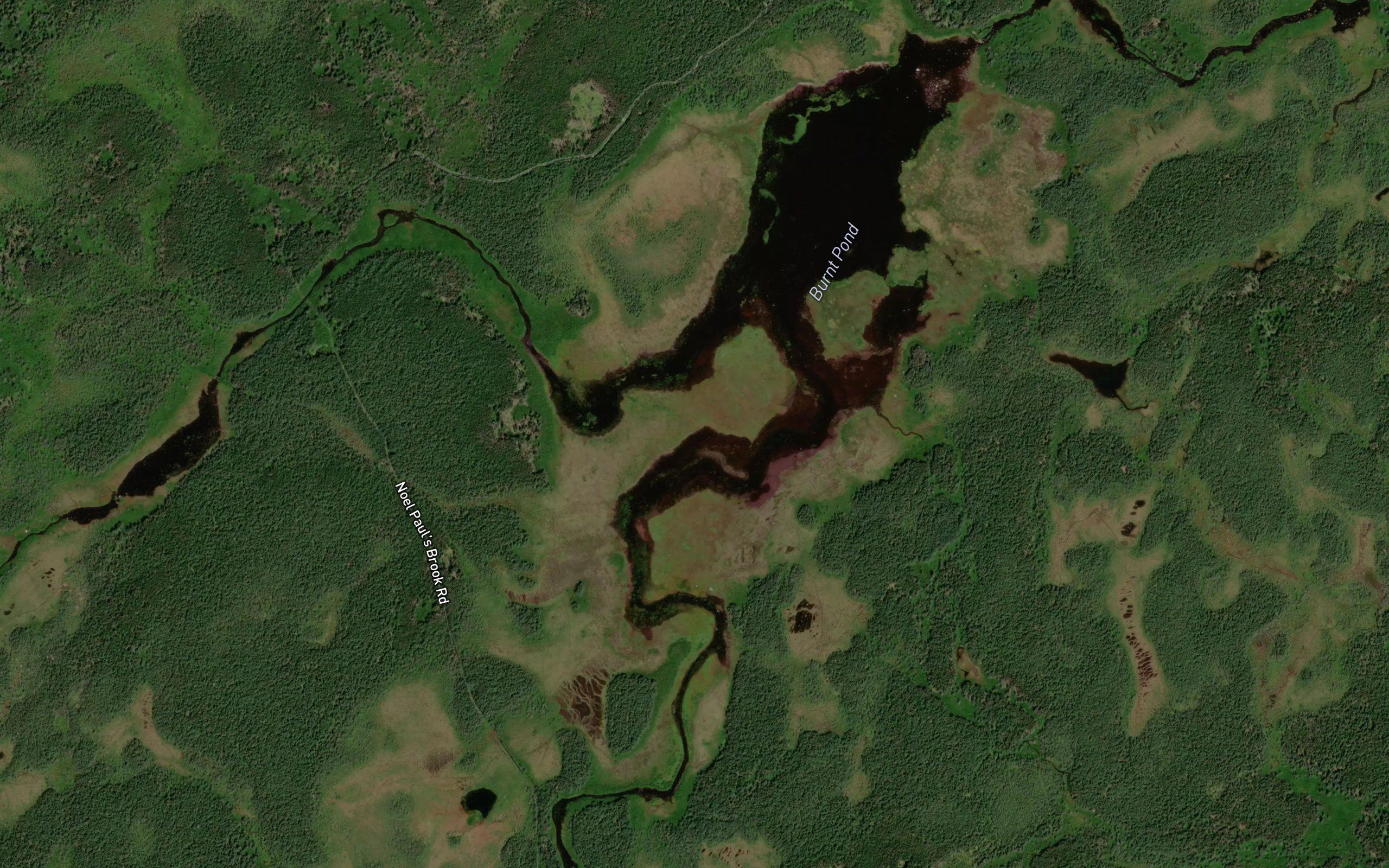 Burnt Pond