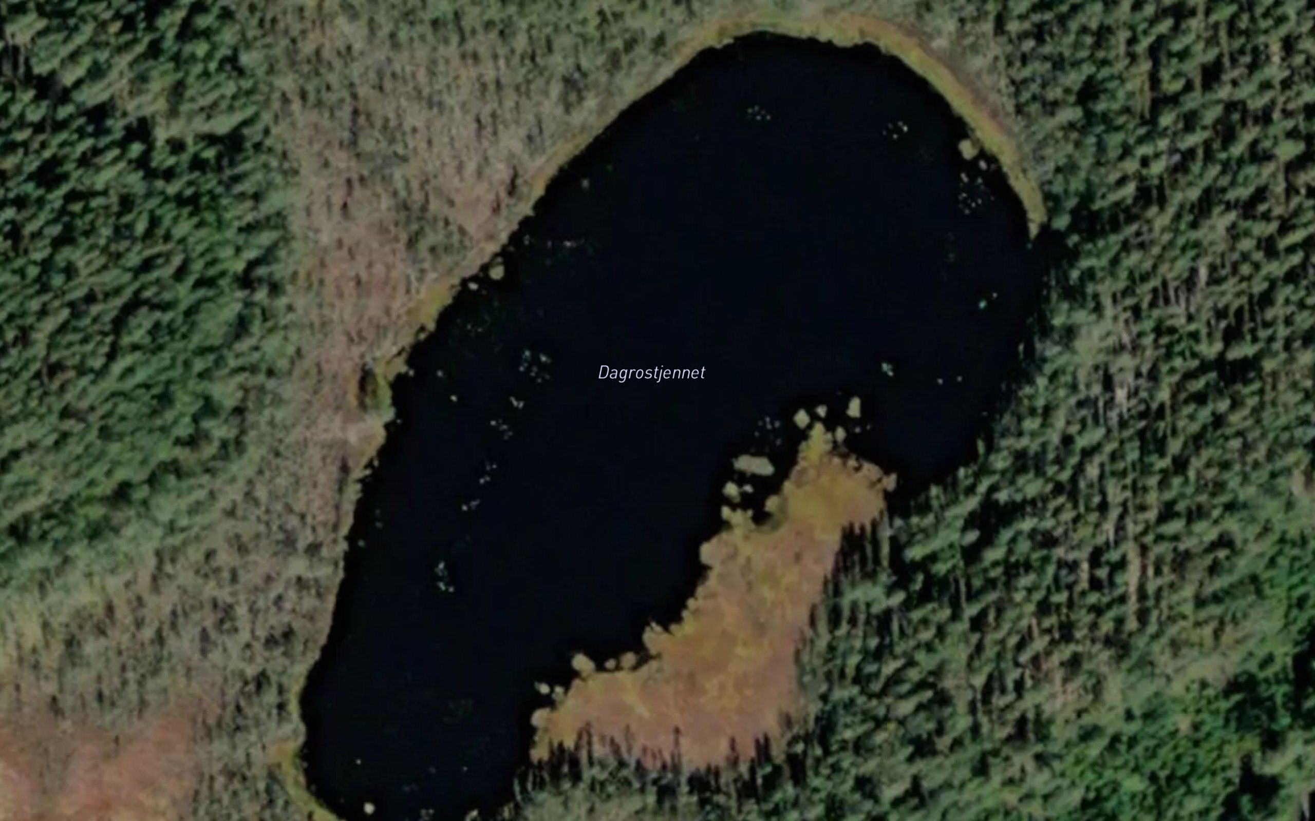 Dagrostjernet