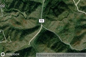 Trace Fork