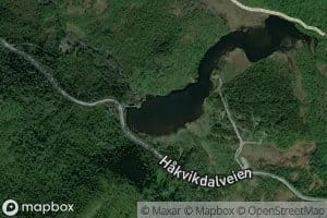 Silvatnet