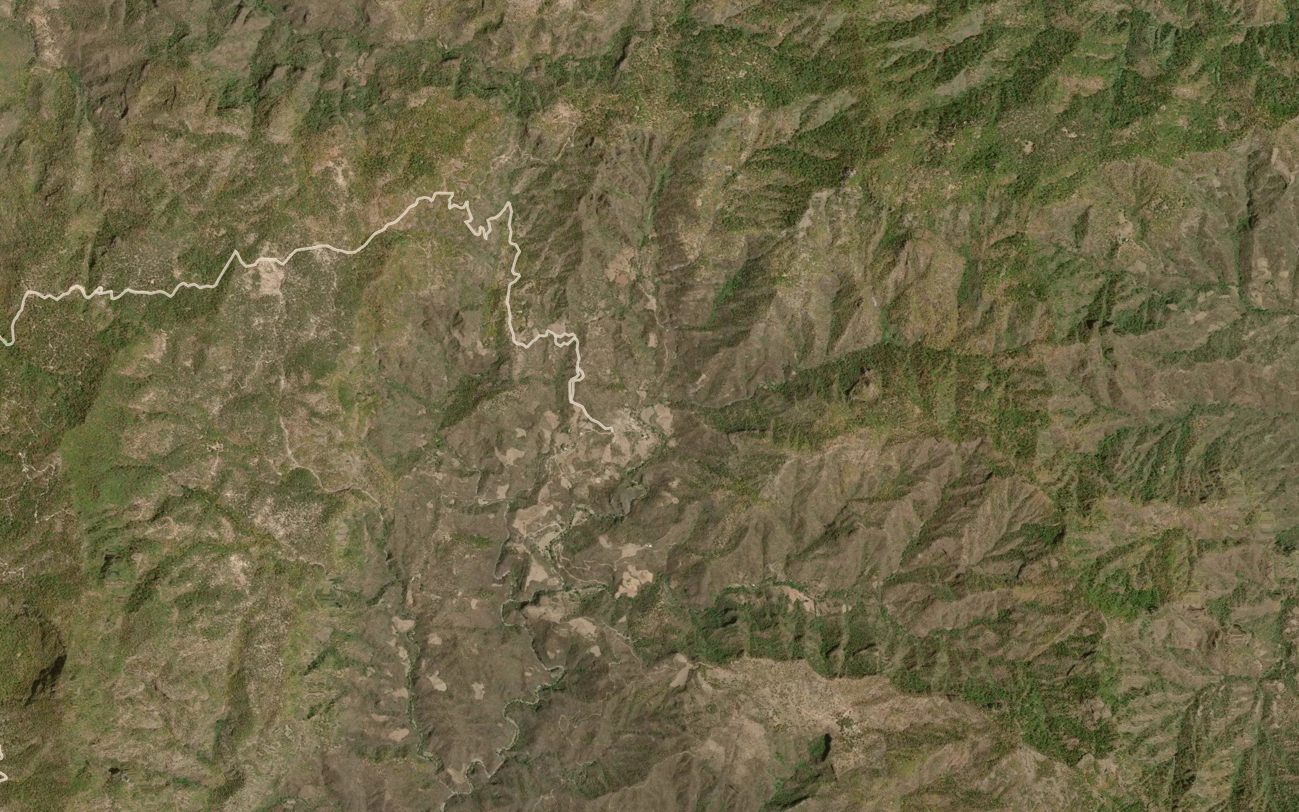 El Pino