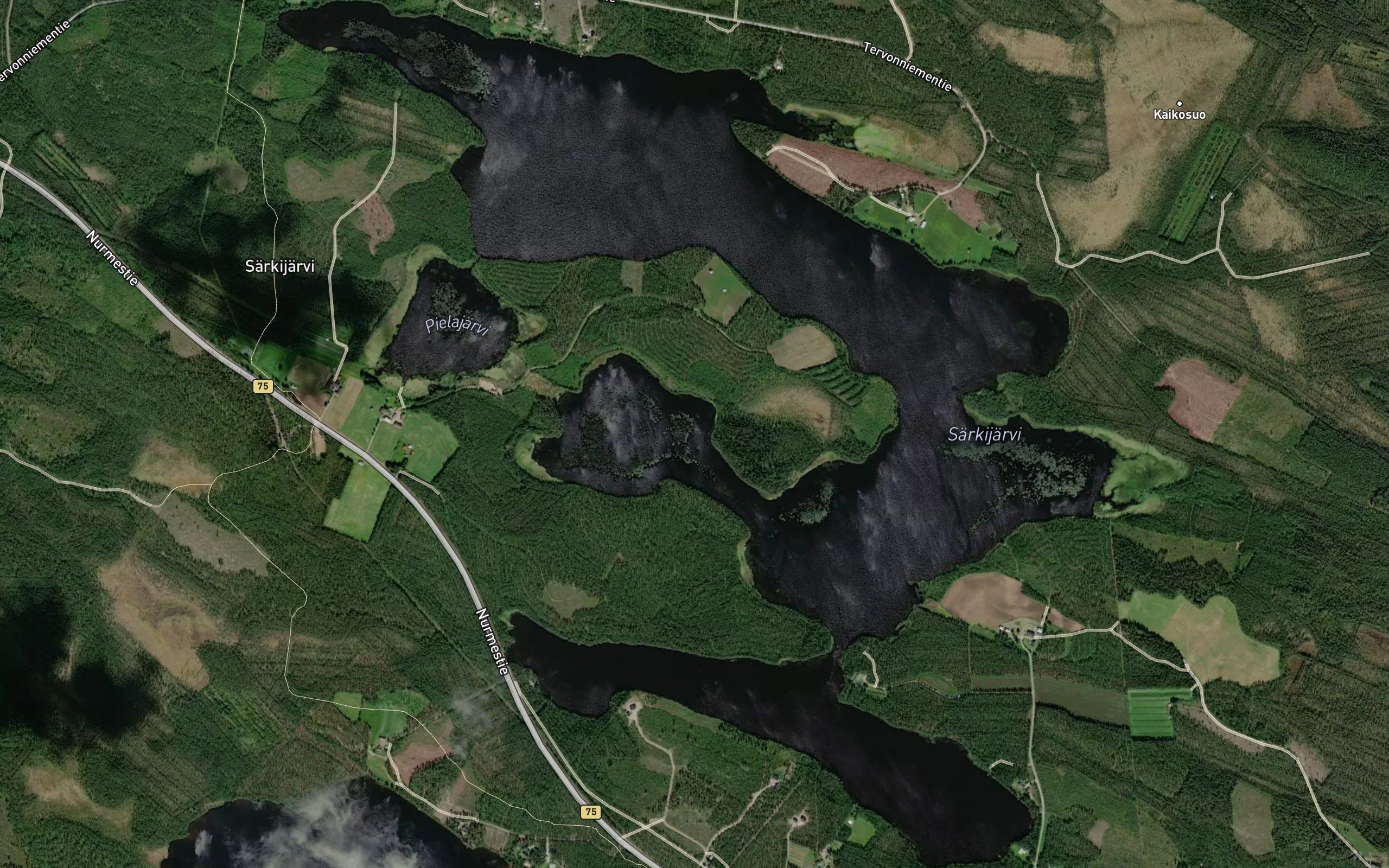 Sarkijarvi