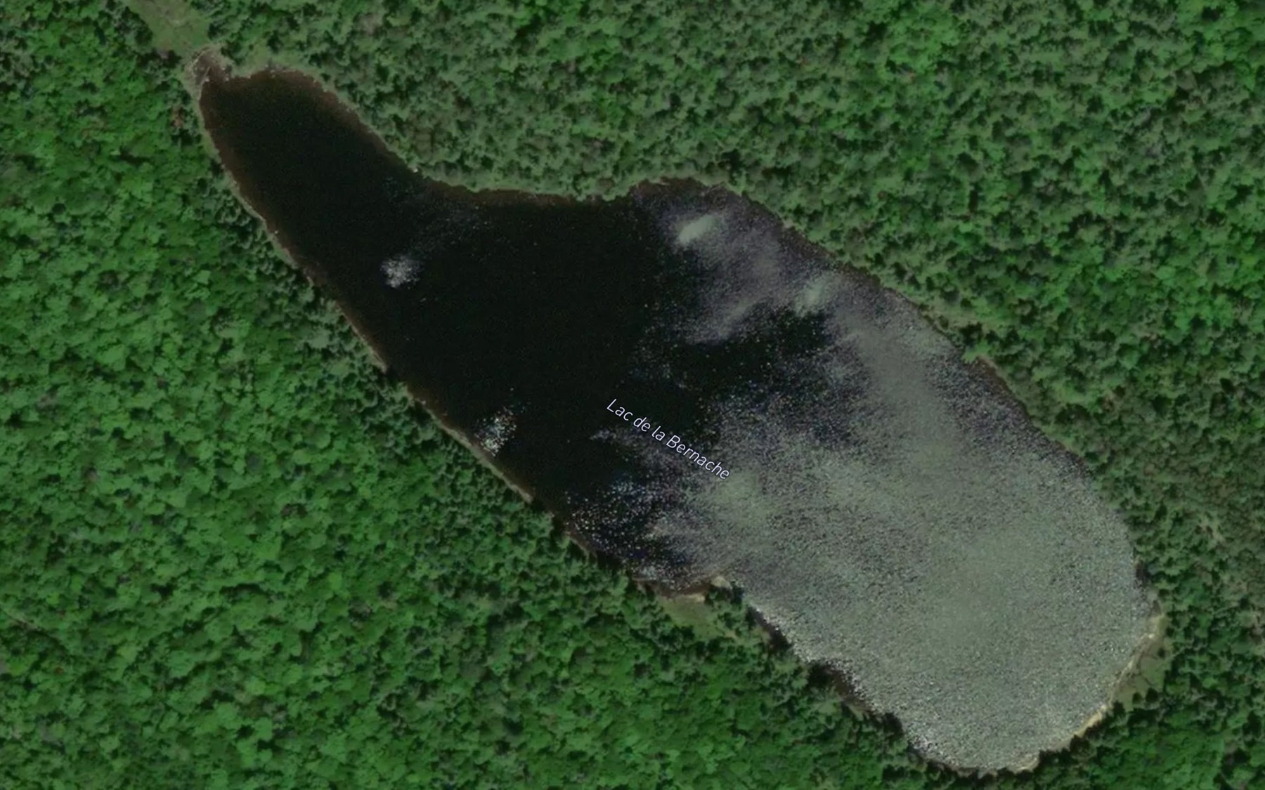 Satellite map of the Lac de la Bernache