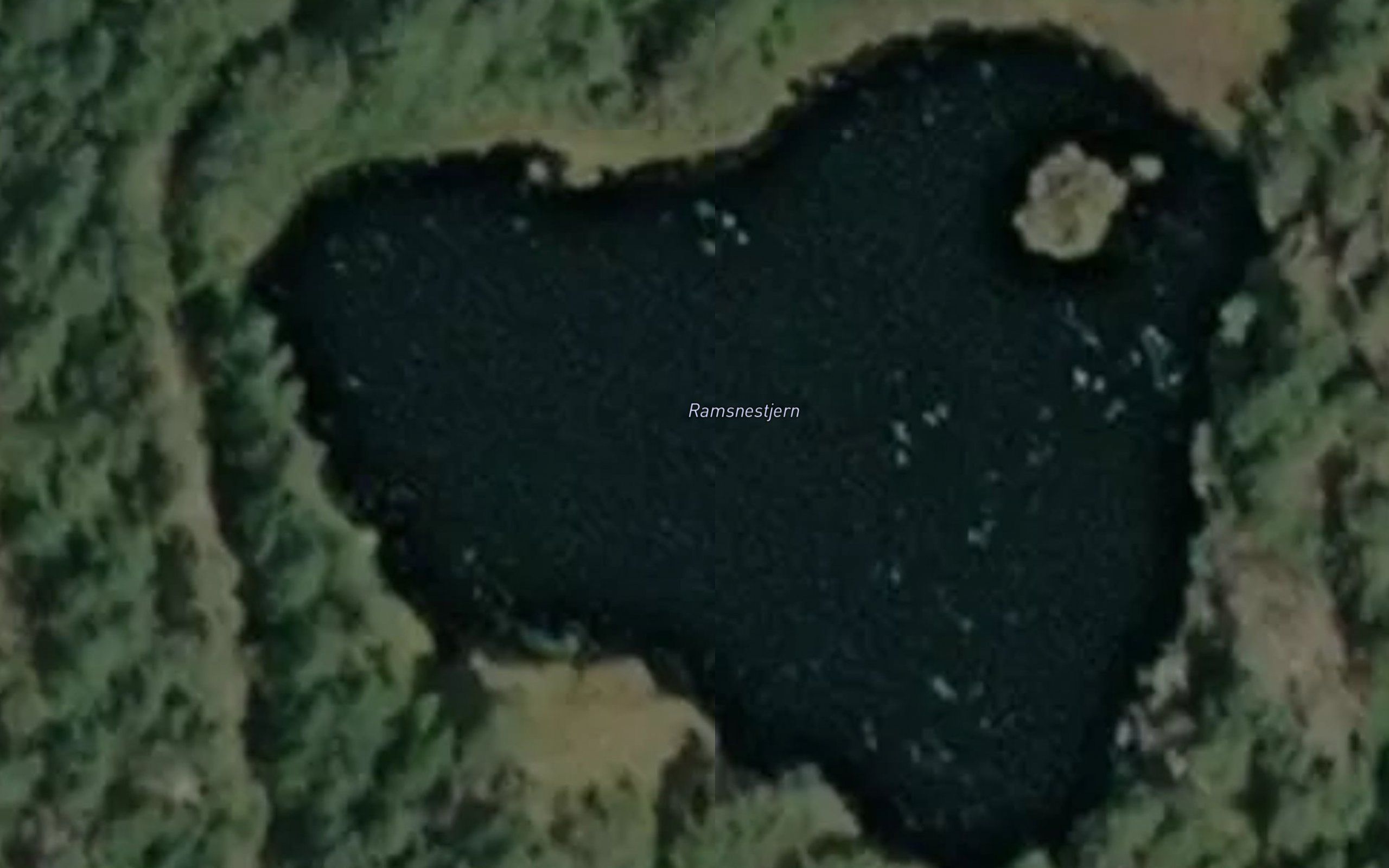 Ramsnestjern