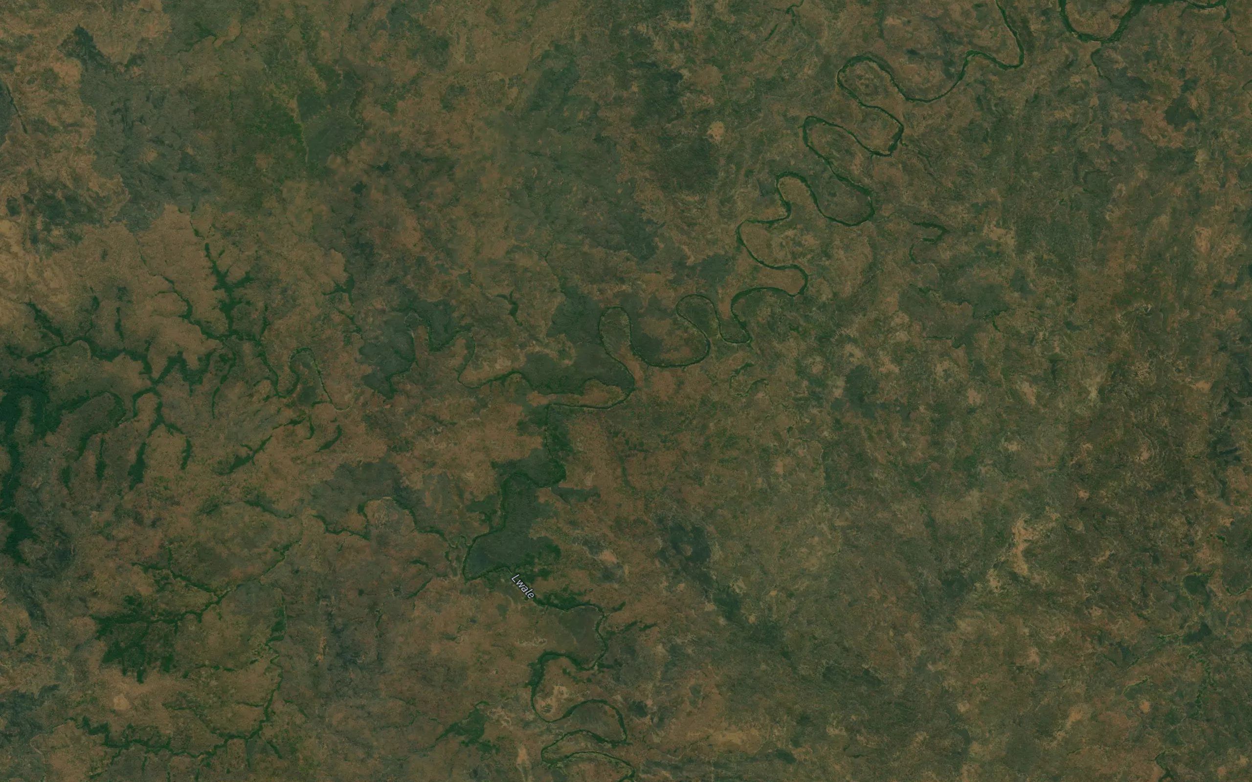 Lussanguila