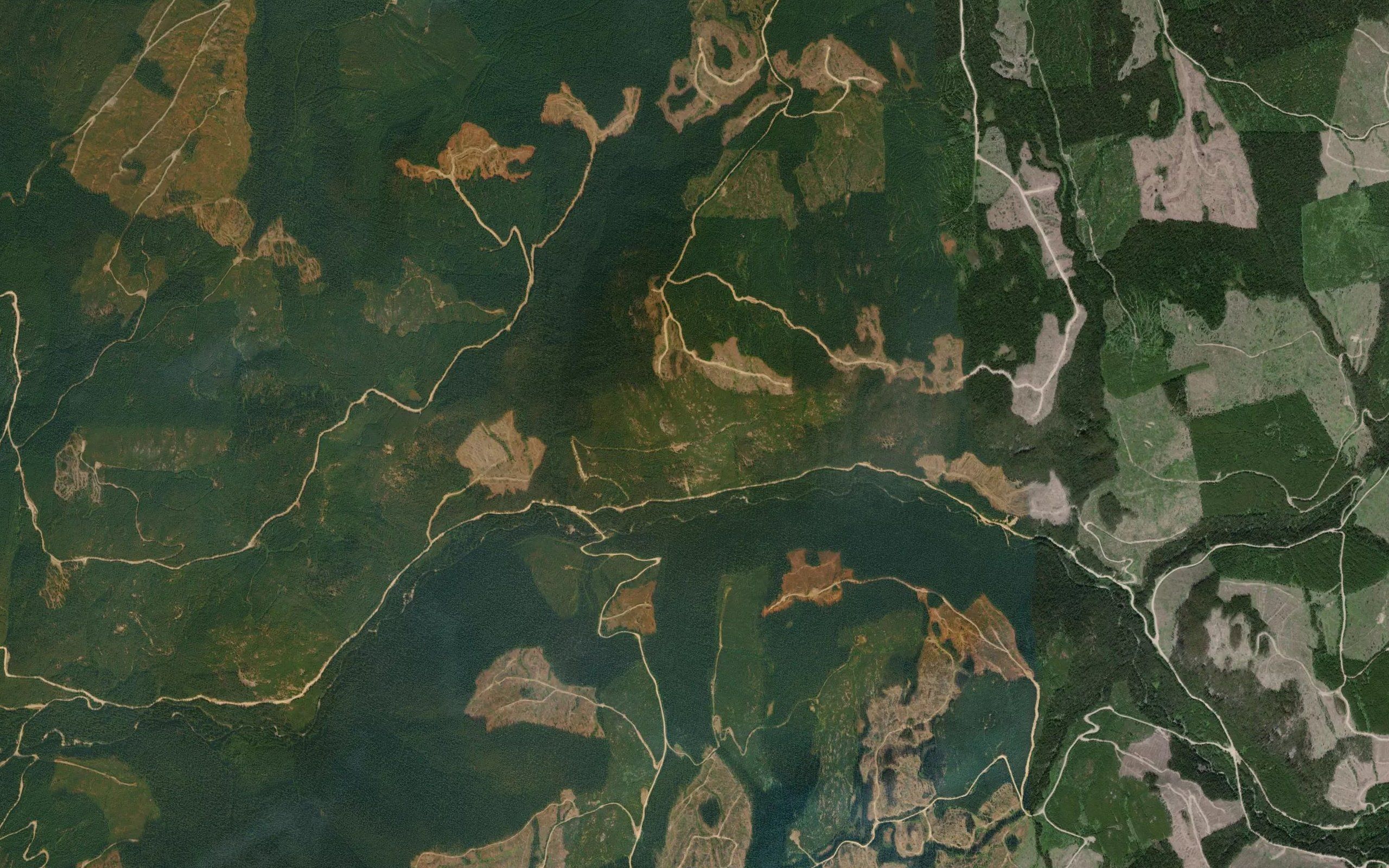 Dictator Creek