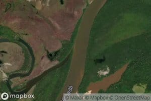 Madre Vieja Cobatisi