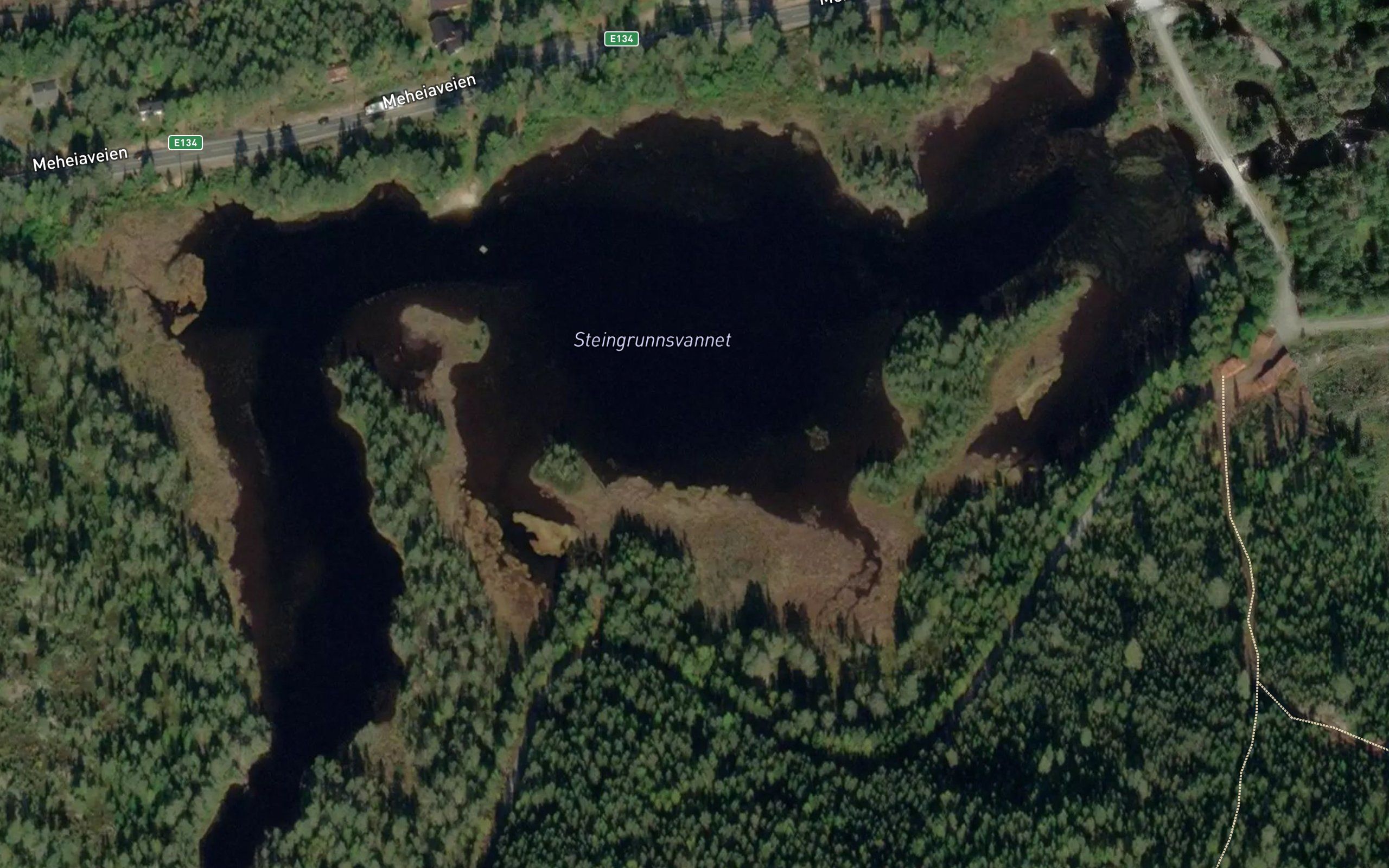 Steingrunnsvannet