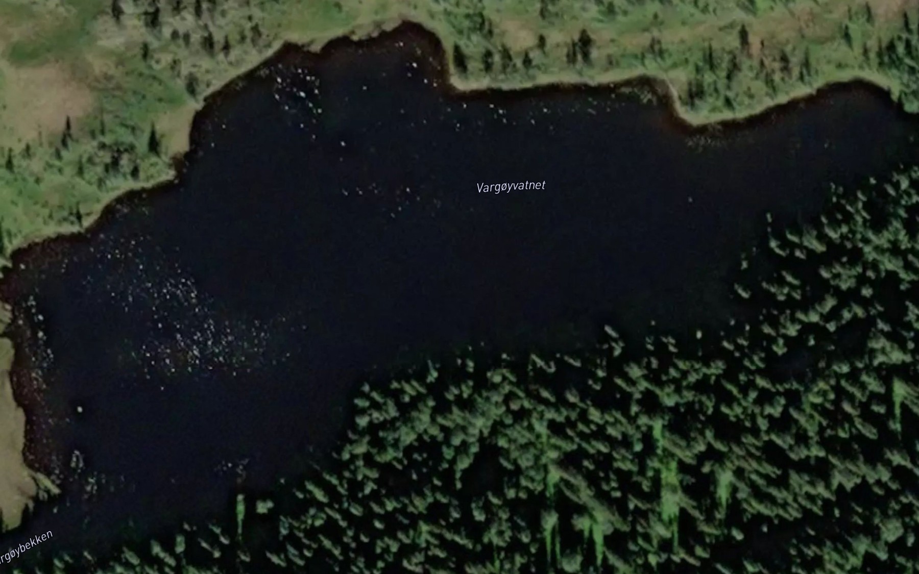 Satellite map of the Vargoyvatnet