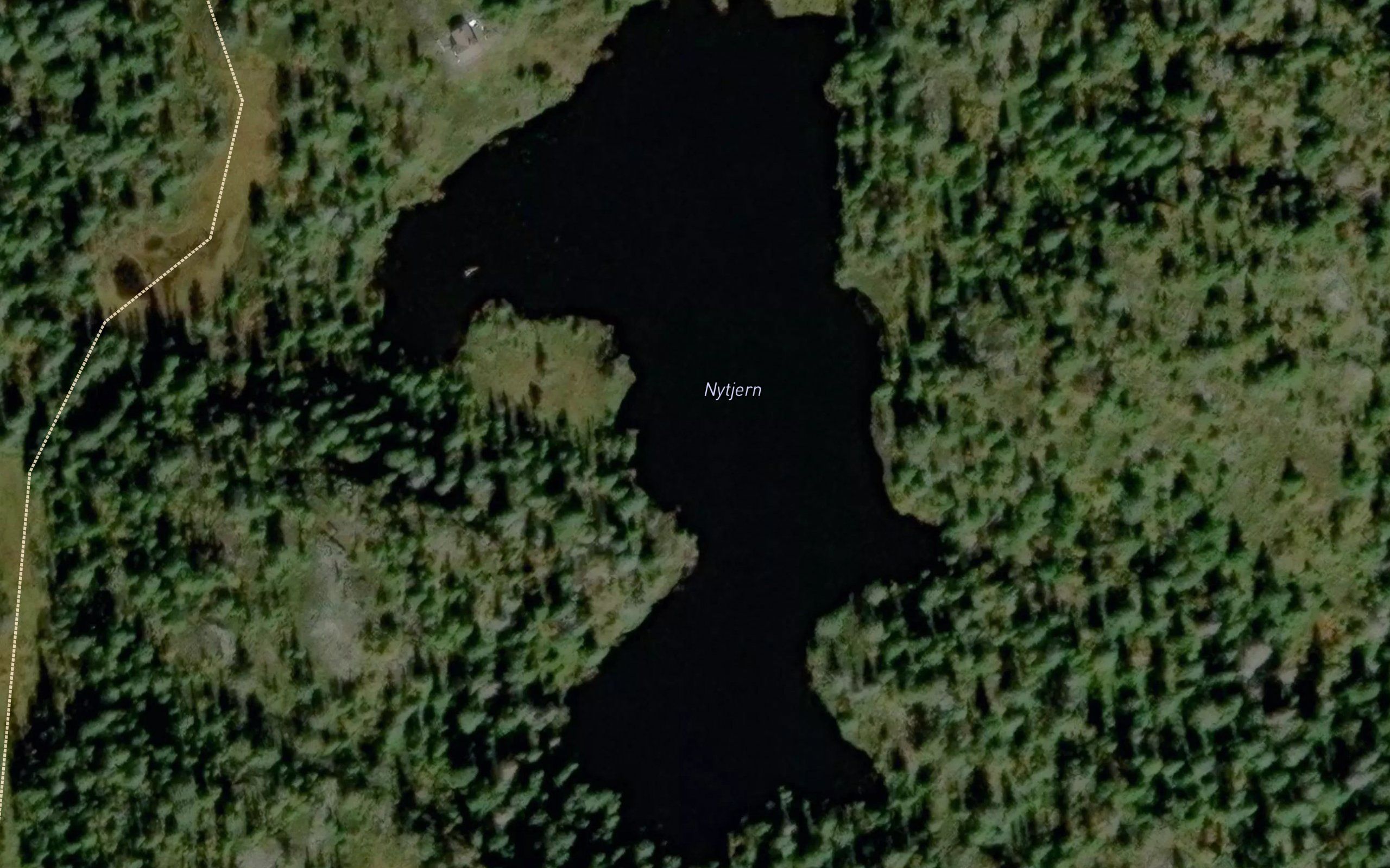 Nytjern