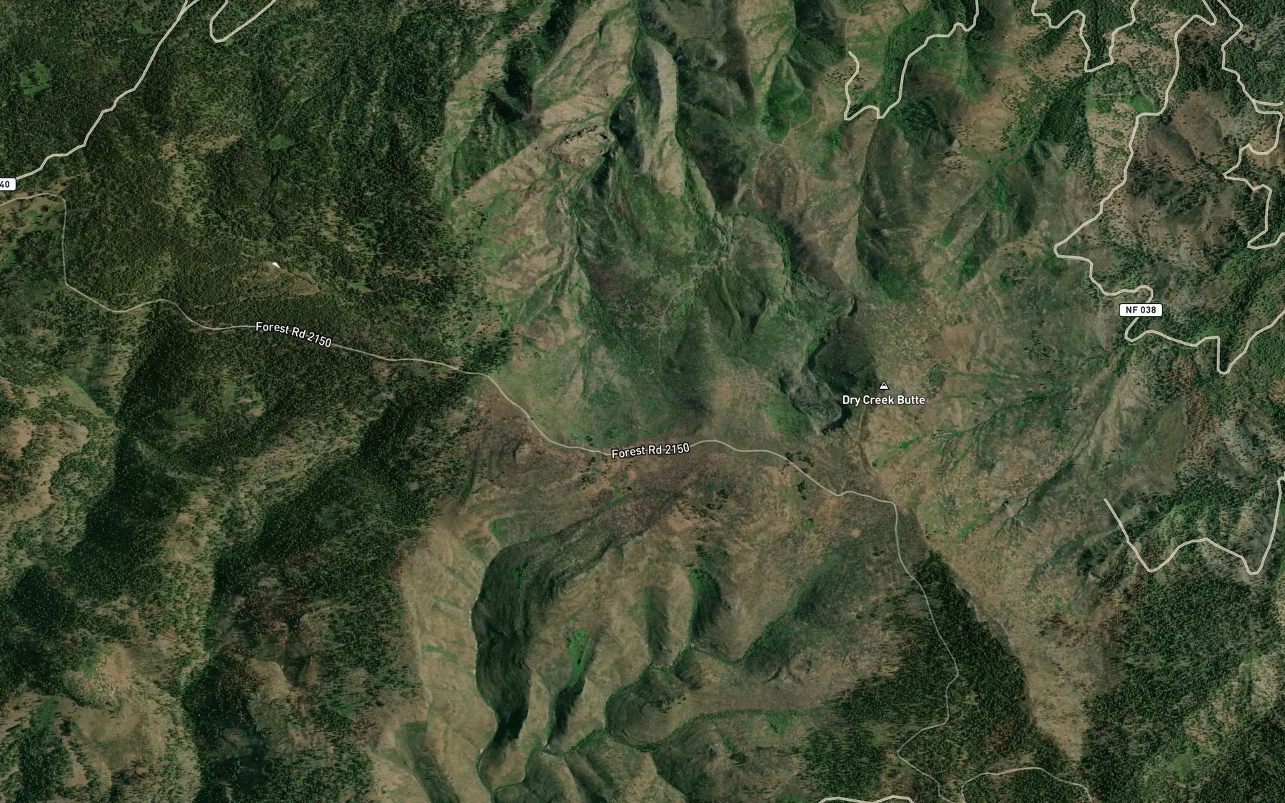 Satellite map of the Roaring Spring