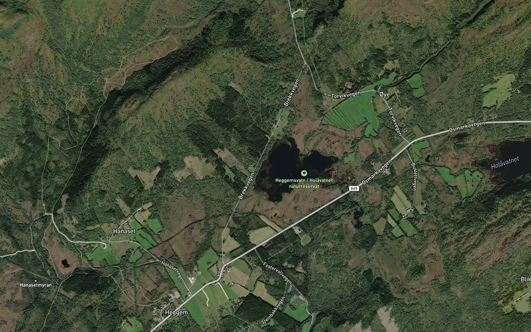 Satellite map of the Heggemsvatnet