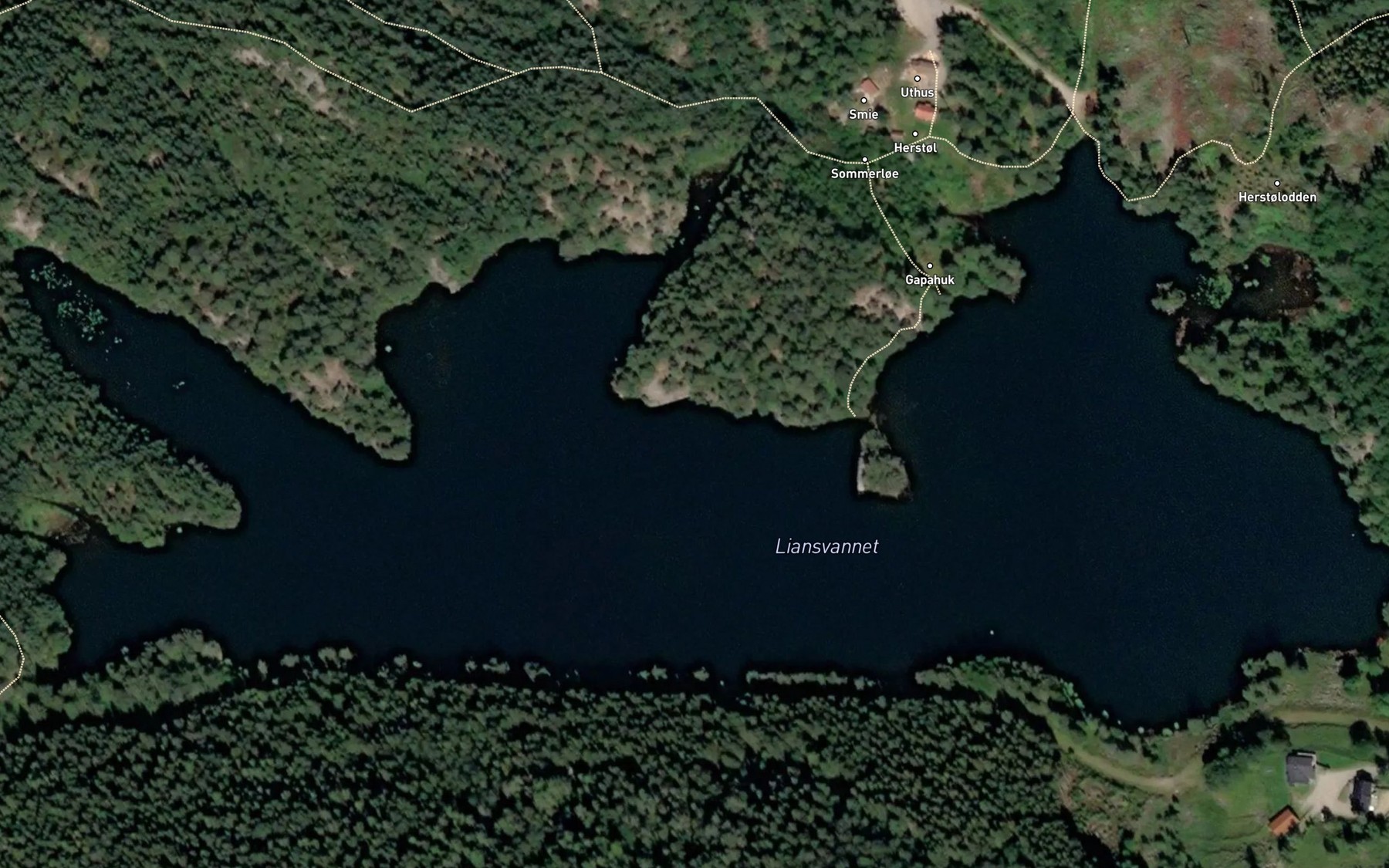 Satellite map of the Liansvannet