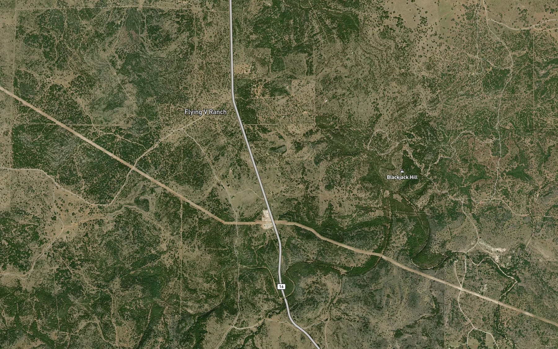 Satellite map of the Blackjack Pond