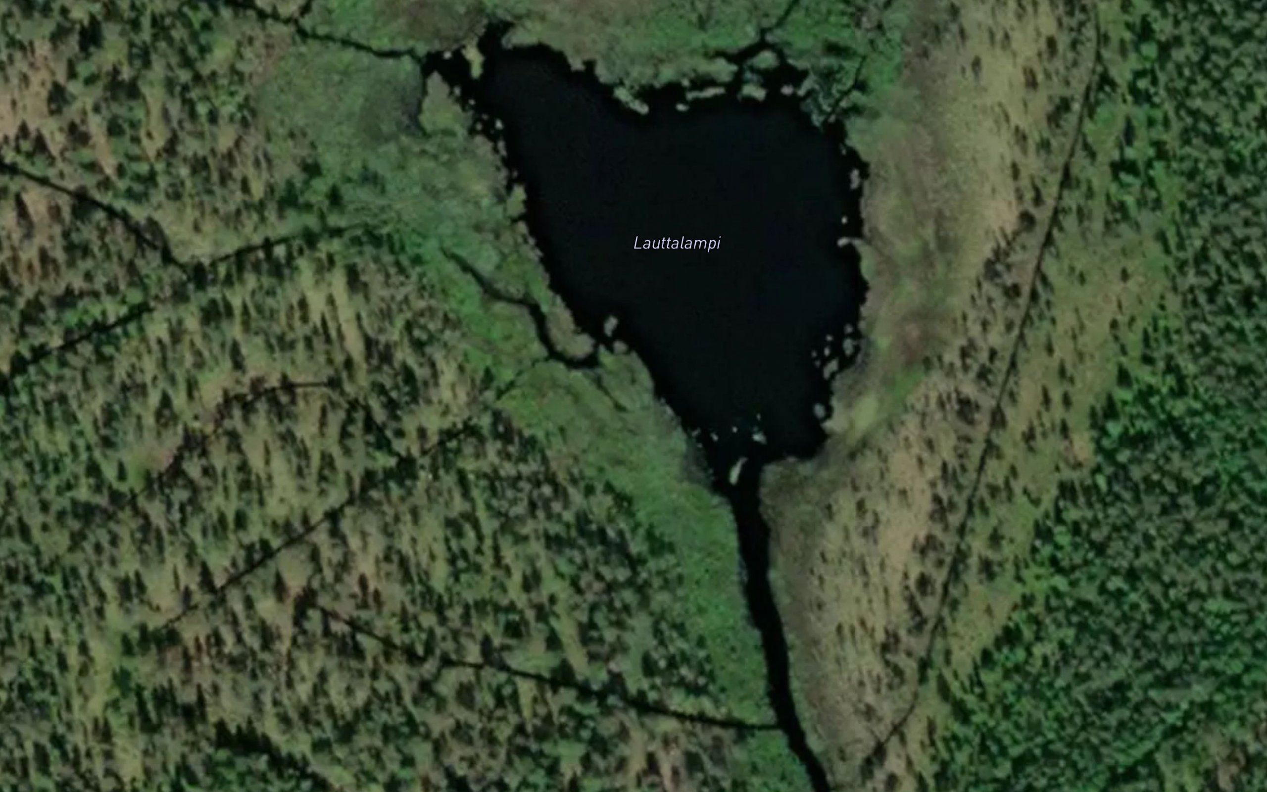 Lauttalampi