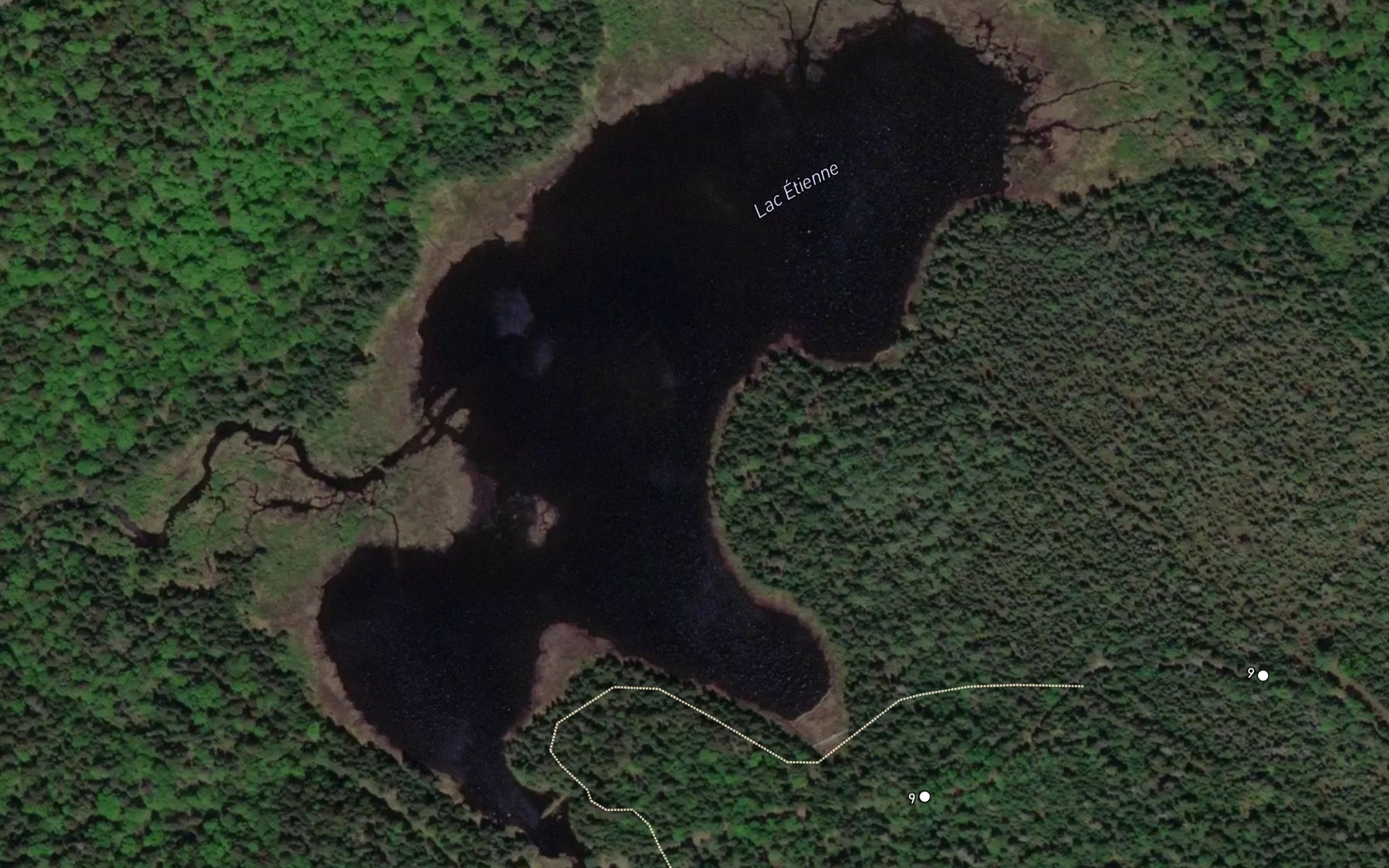 Satellite map of the Lac Etienne