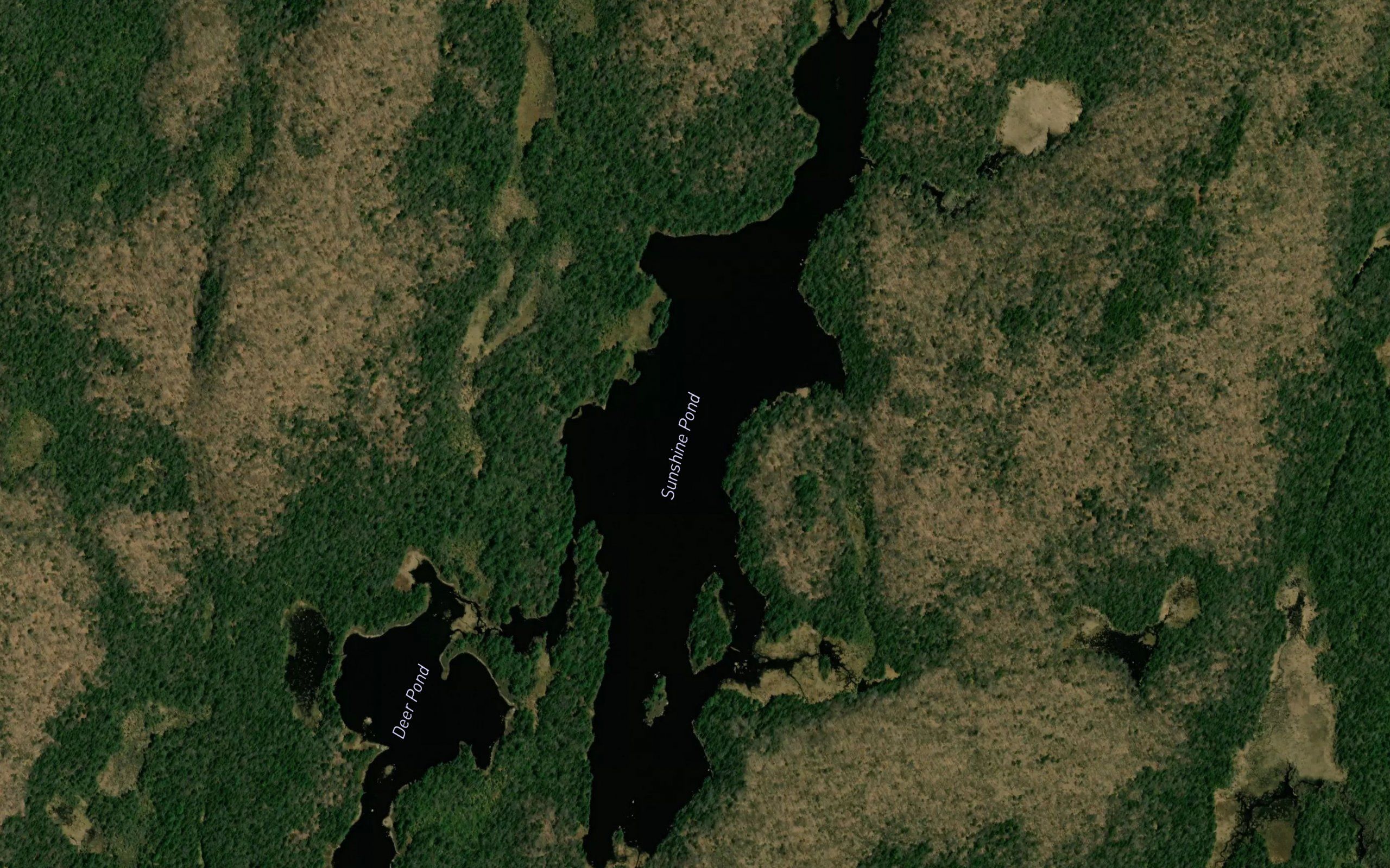 Sunshine Pond
