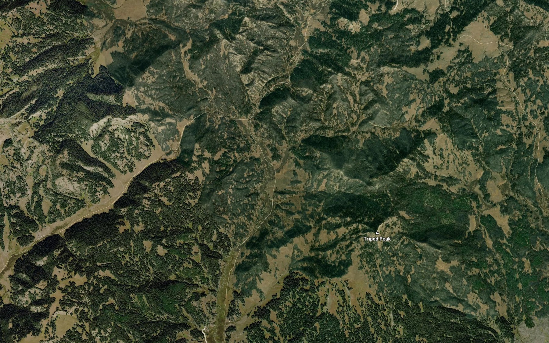 Satellite map of the Spruce Creek