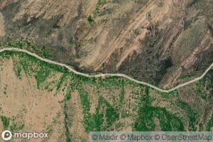 Mourning Dove Spring